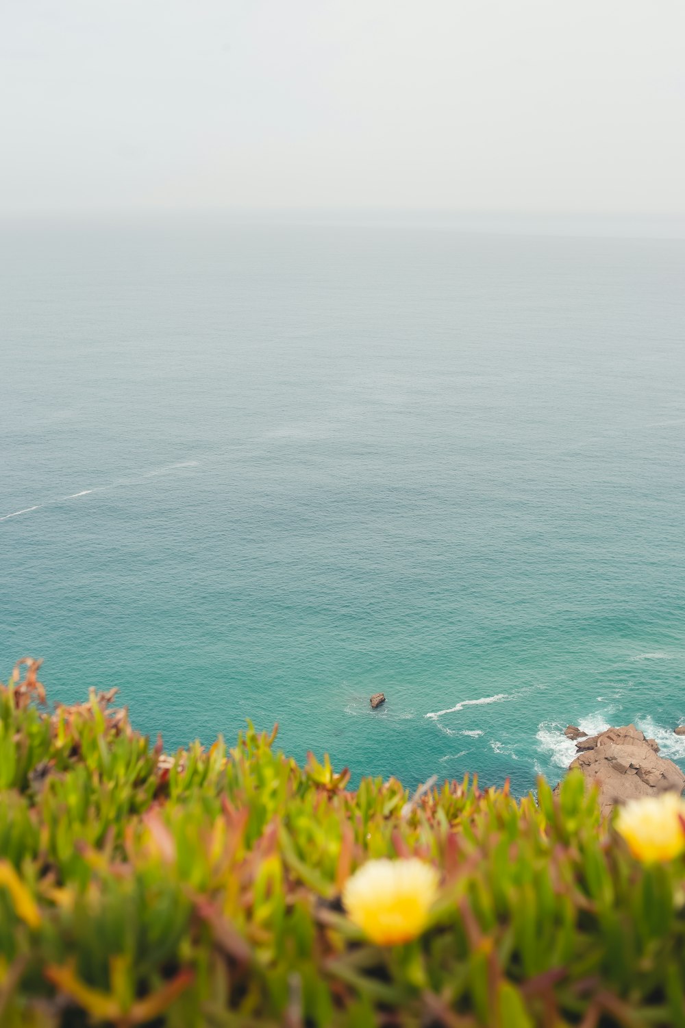 a view of a body of water from a cliff