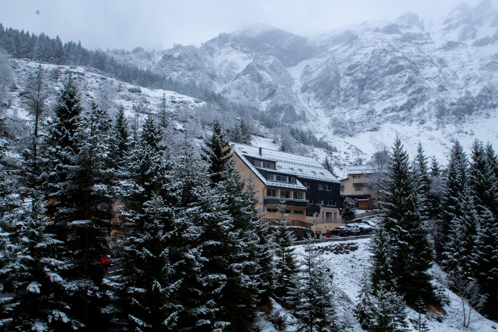 a large building surrounded by snow covered trees