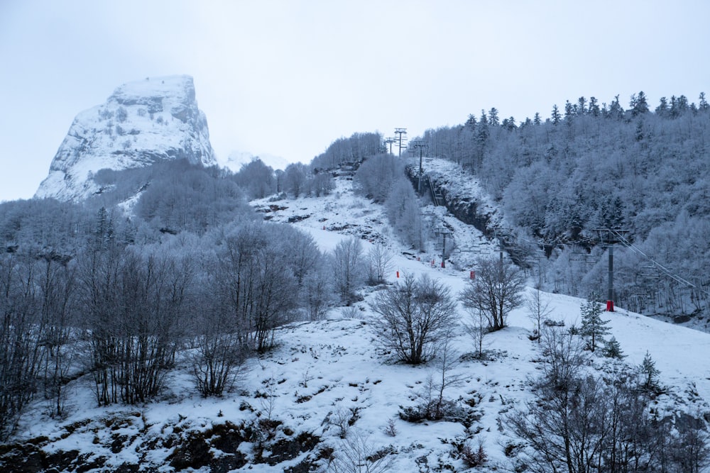 a snowy mountain with trees and a ski lift