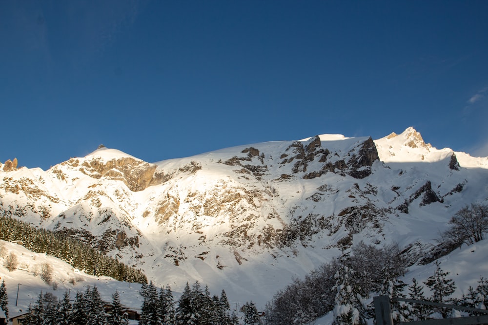 a mountain covered in snow with trees in the foreground