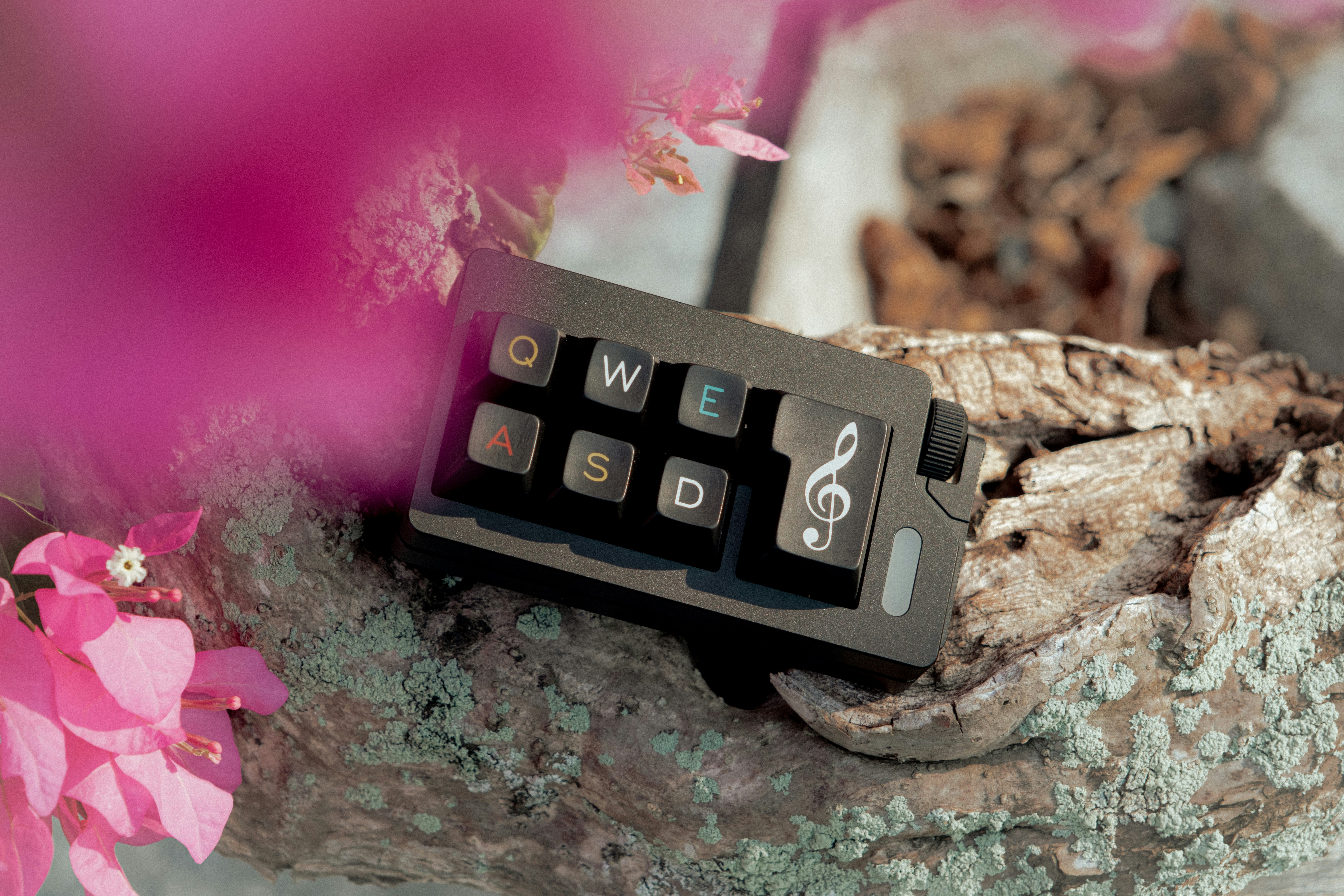 a close up of a keyboard on a rock