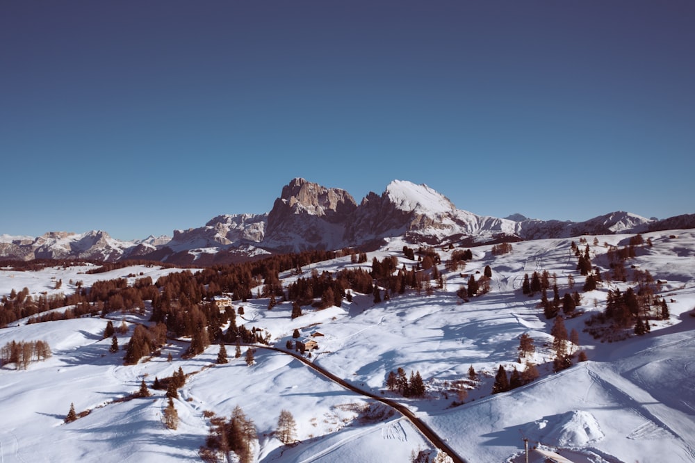 a snow covered mountain range with trees in the foreground