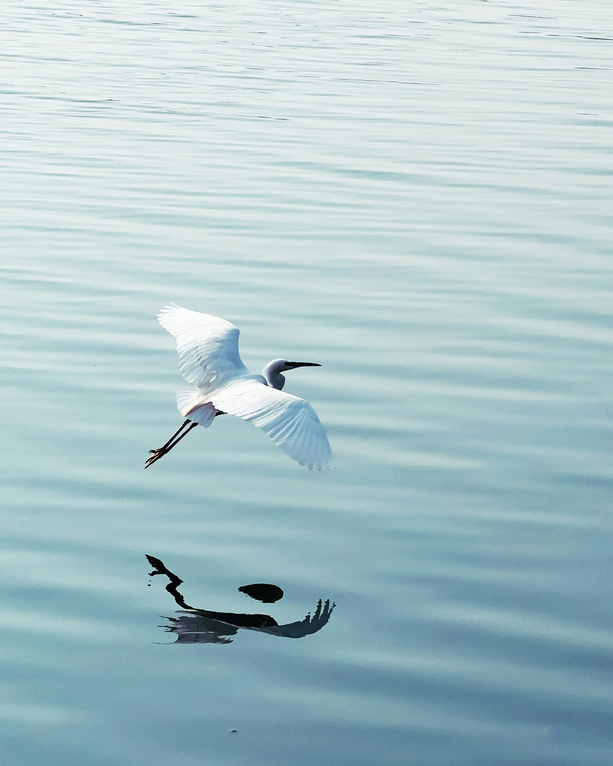 Photo by tarunrajbns