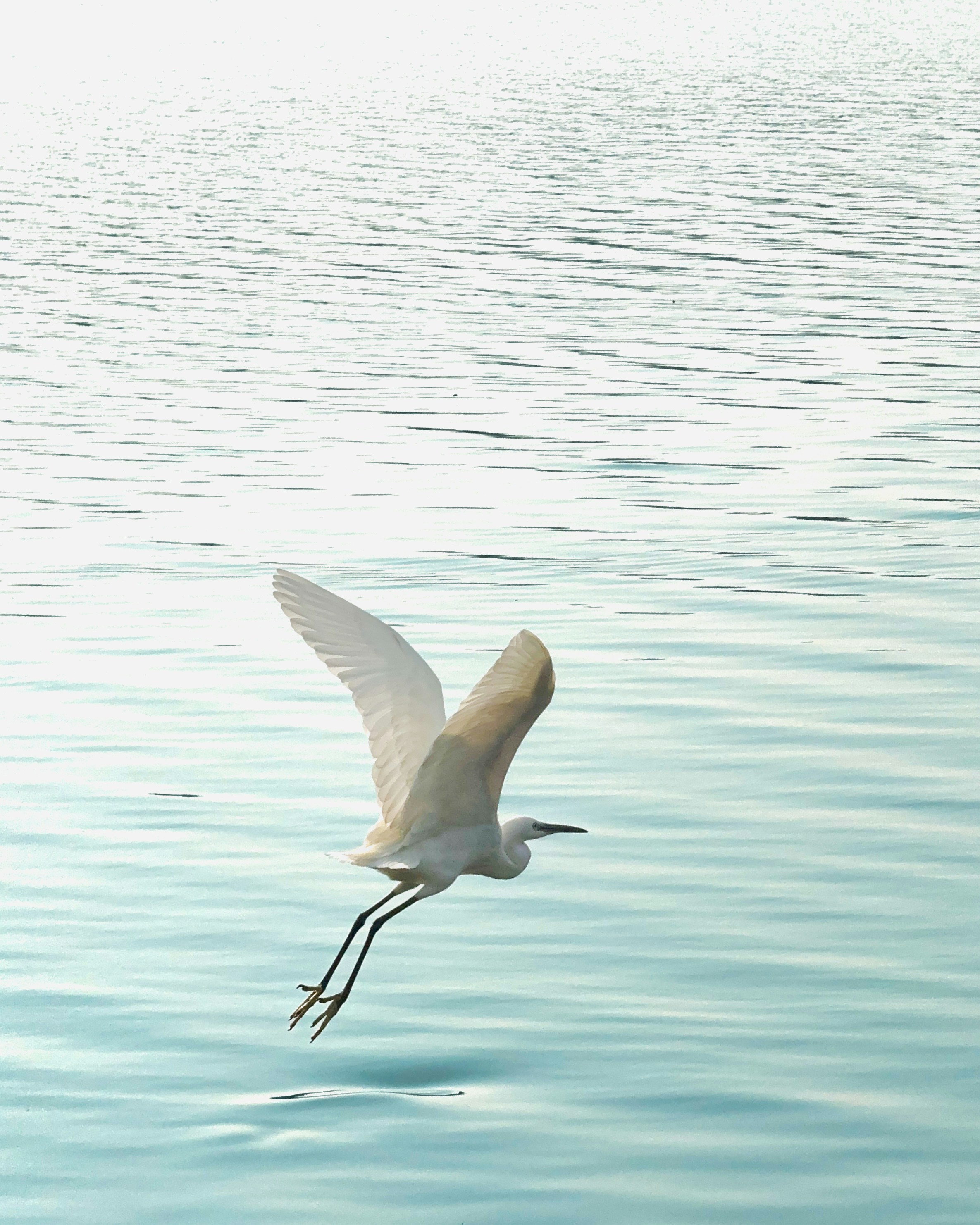 Photo by tarunrajbns