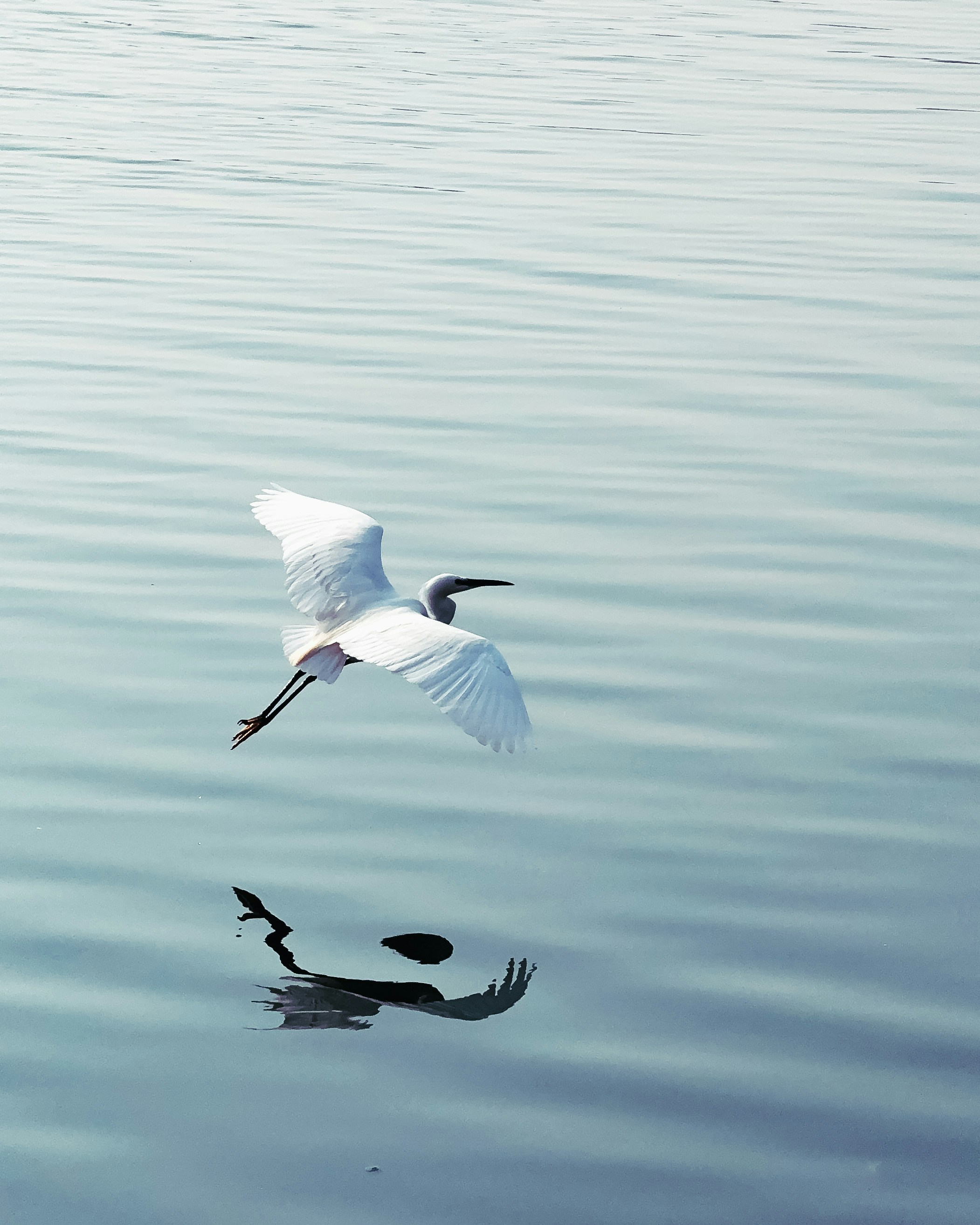 Photo by tarunrajbns