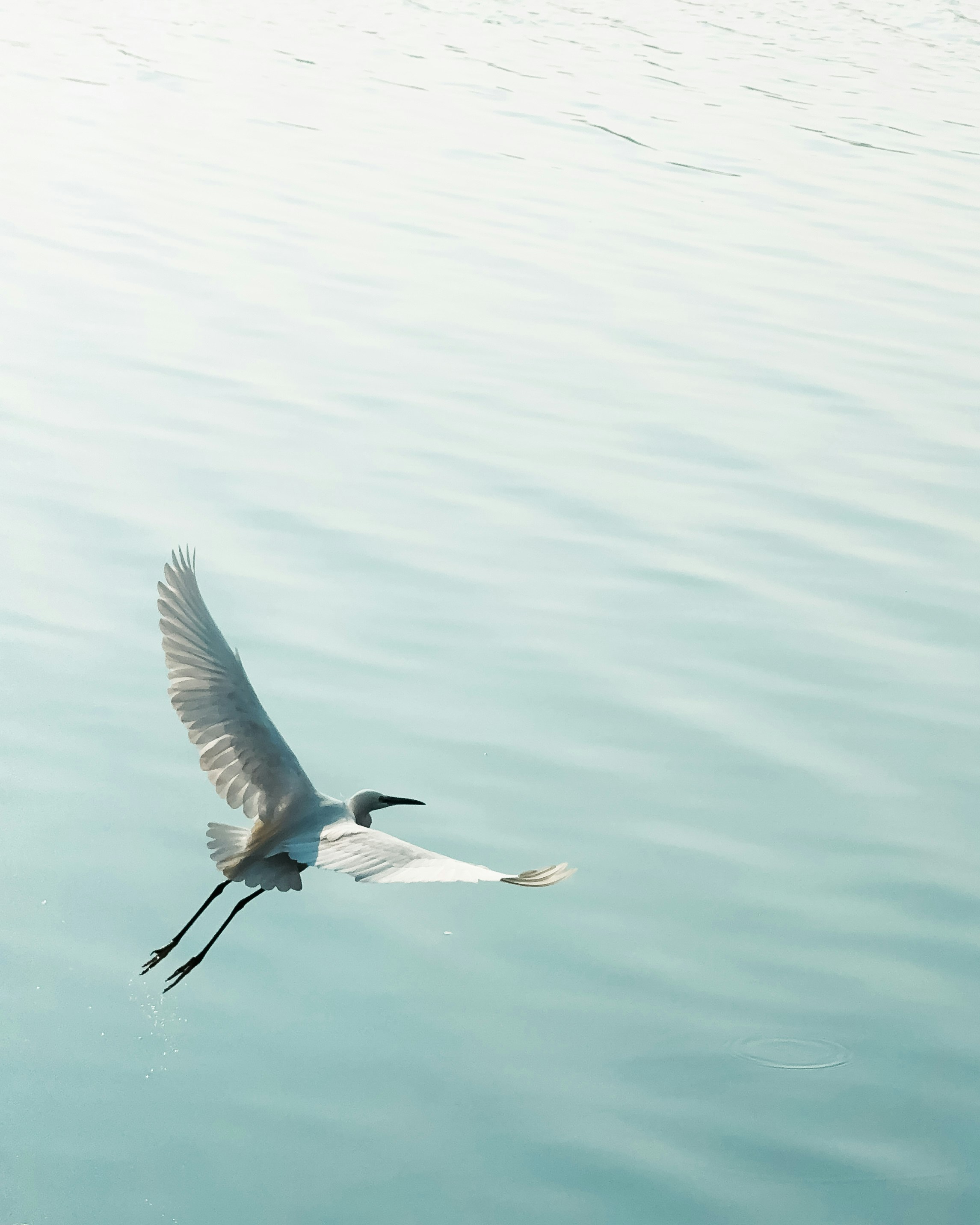 Photo by tarunrajbns