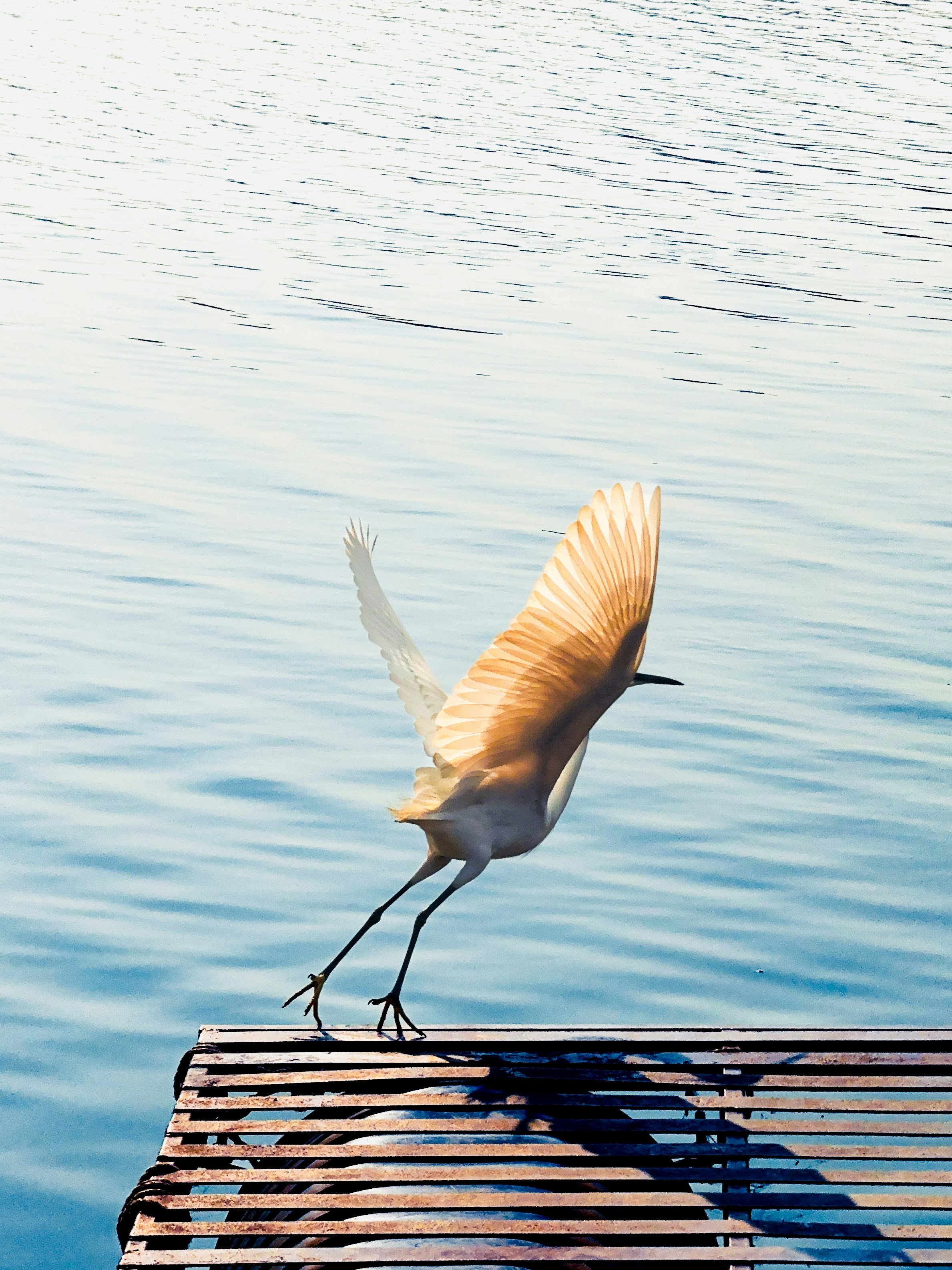 Photo by tarunrajbns