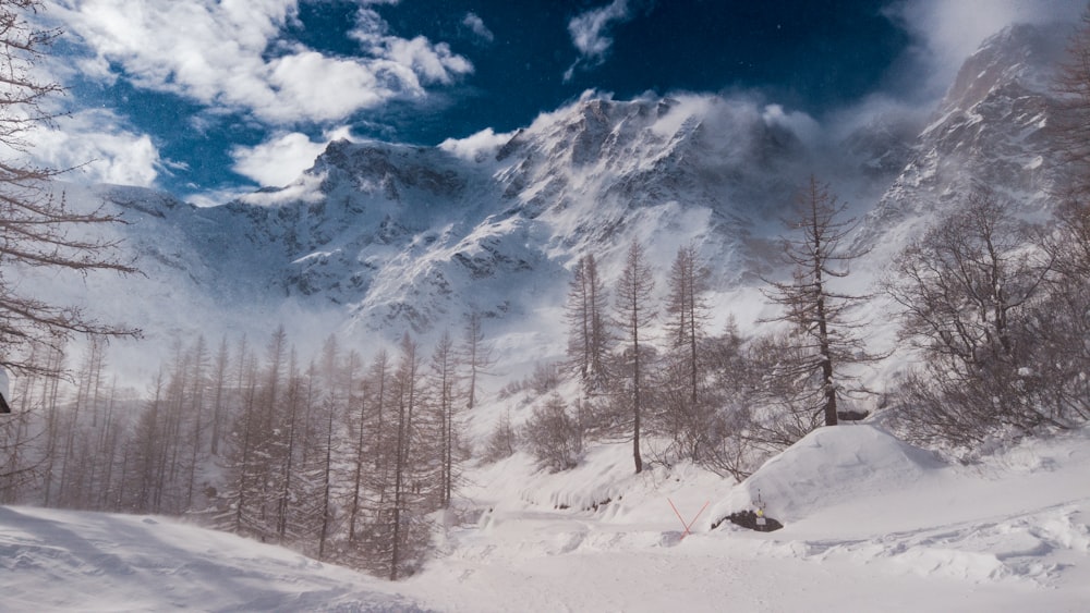 ein schneebedeckter Berg mit Bäumen im Vordergrund