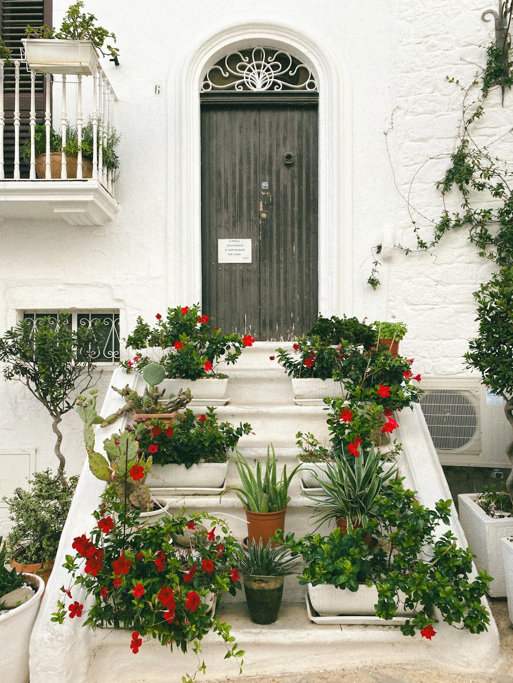 a bunch of potted plants sitting outside of a house