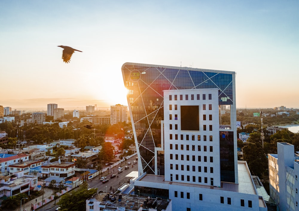 a bird flying over a city at sunset