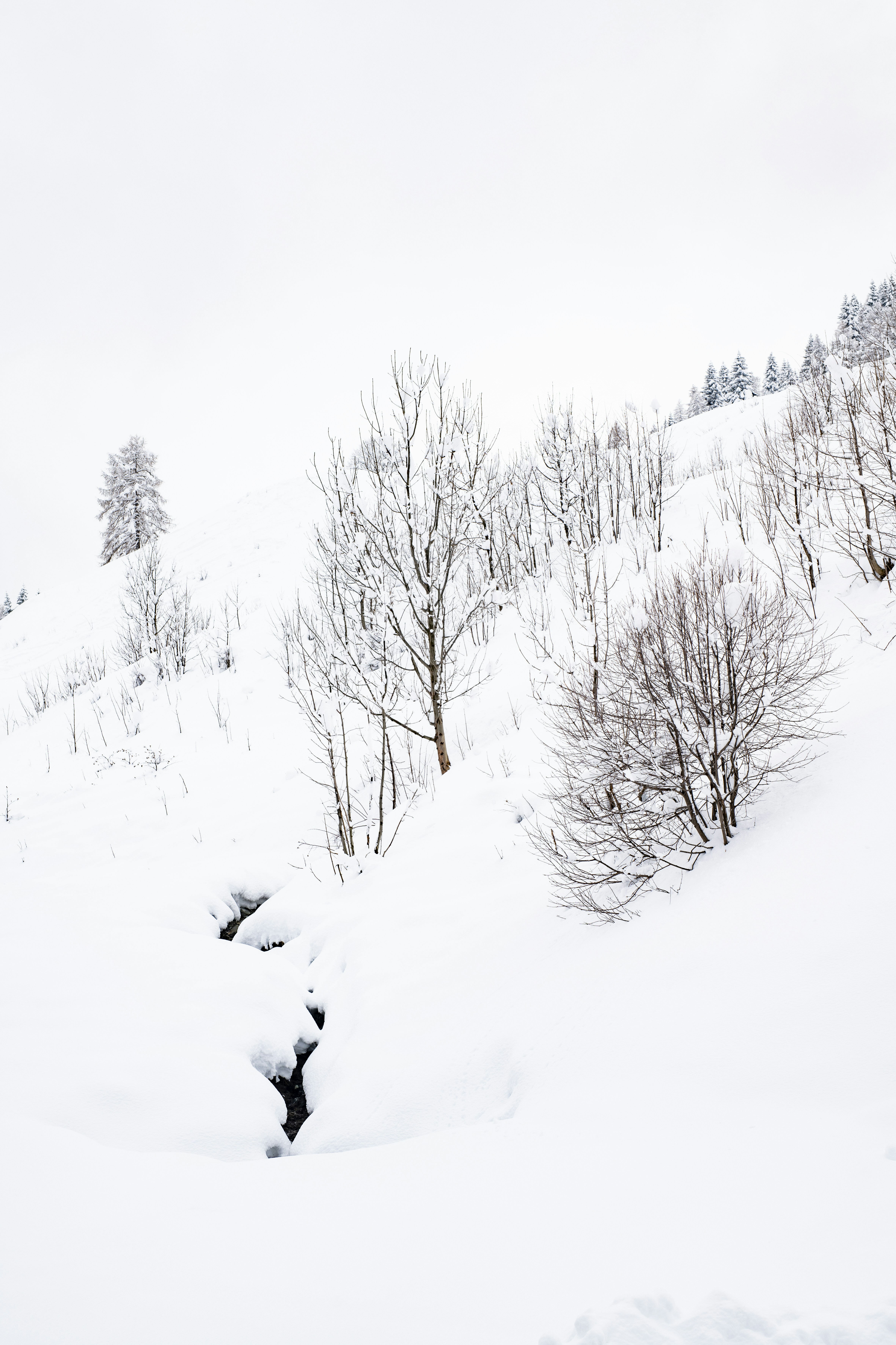 Photo by lauraadaiphoto