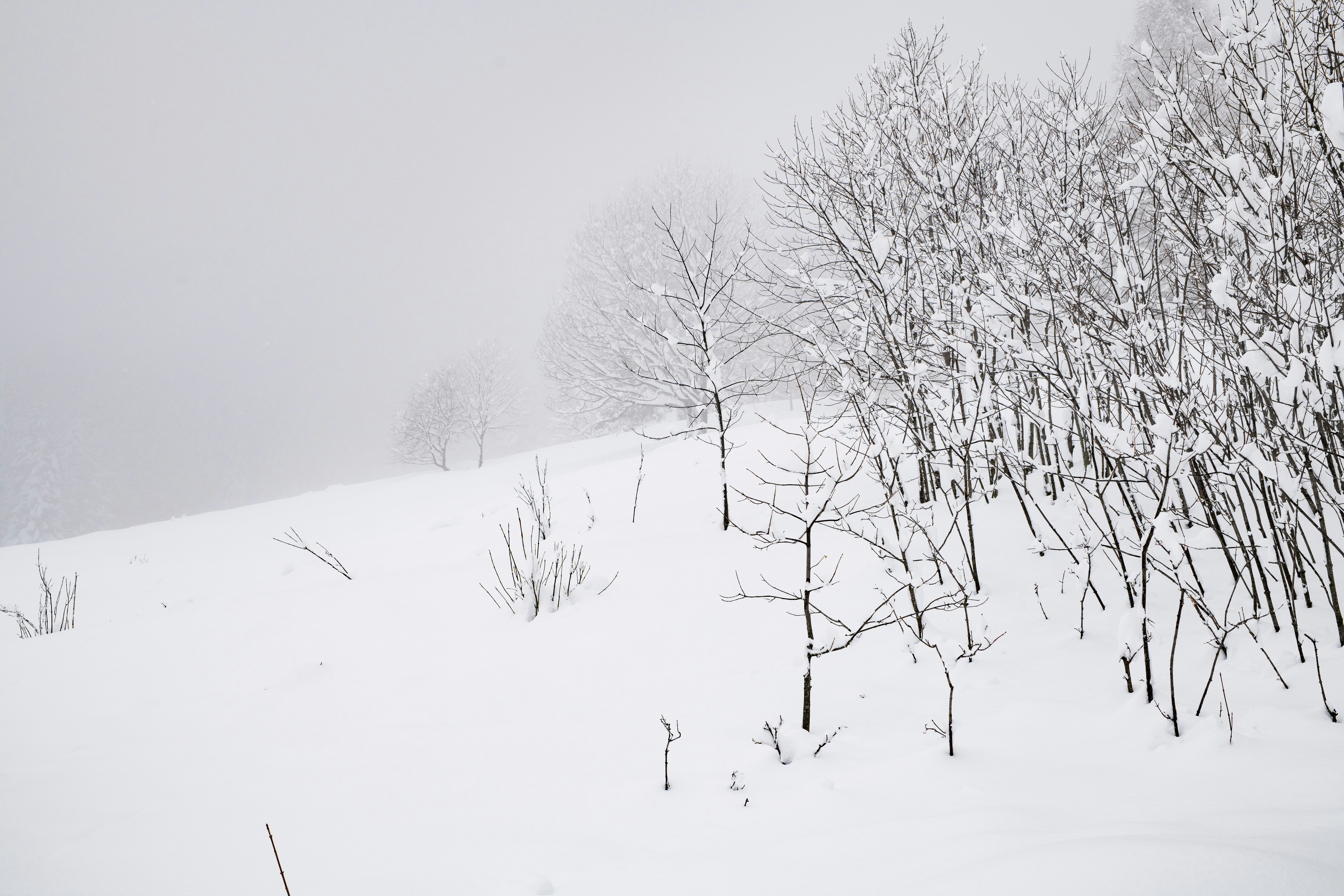 Photo by lauraadaiphoto