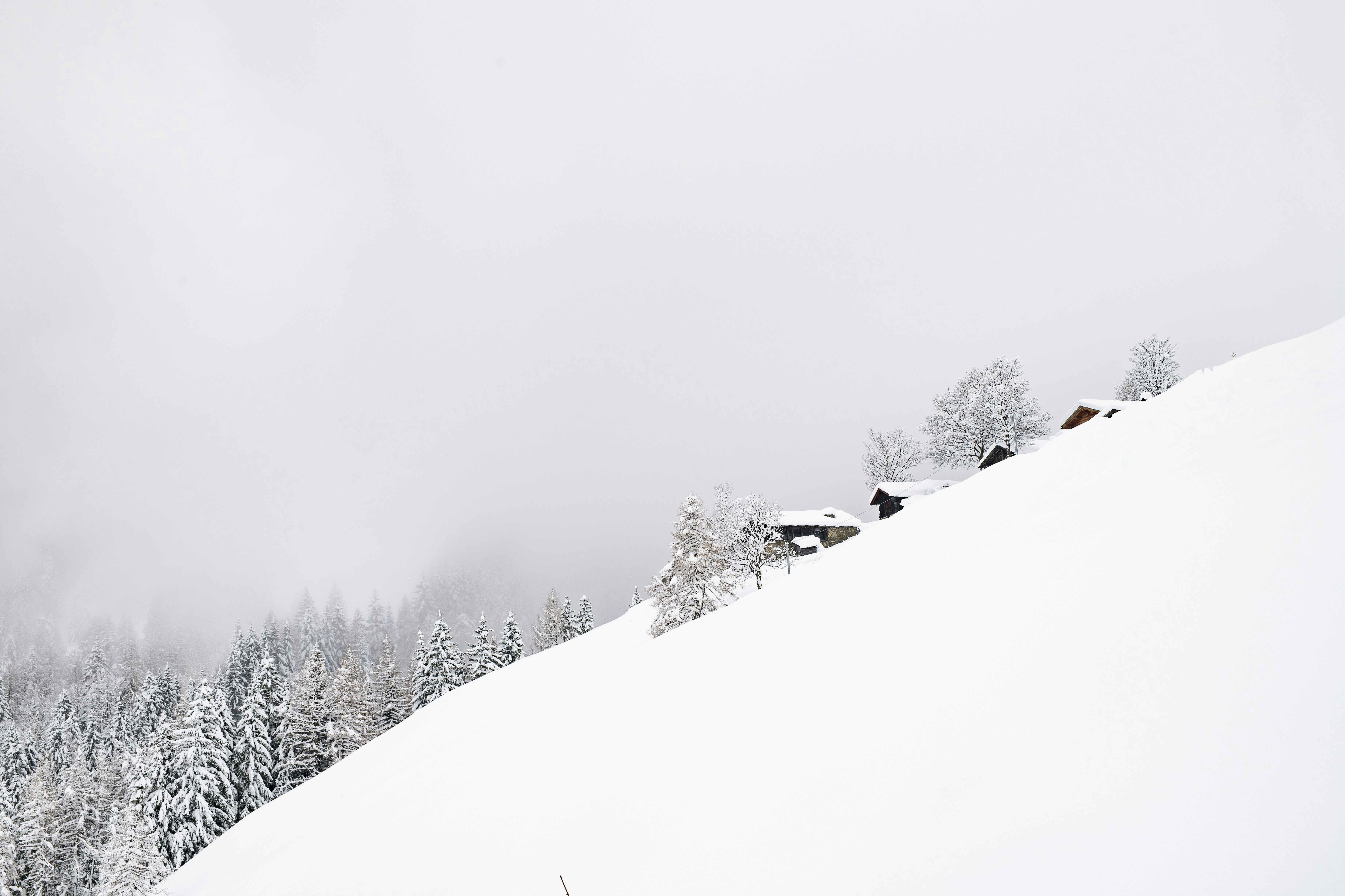 Photo by lauraadaiphoto