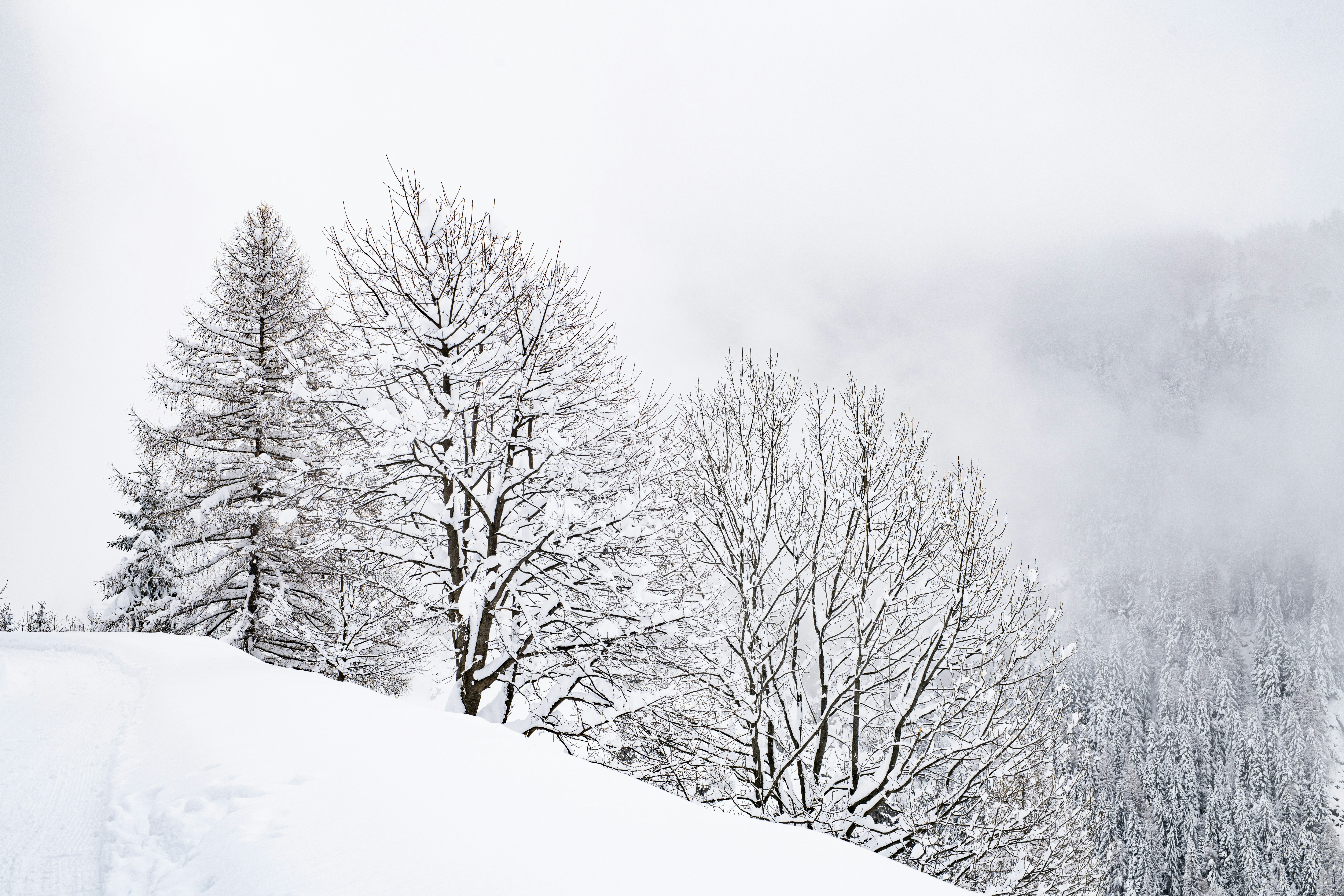 Photo by lauraadaiphoto