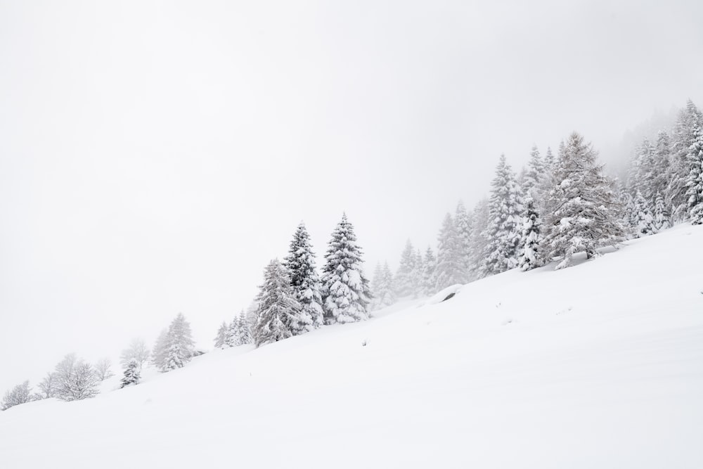 a person riding skis down a snow covered slope