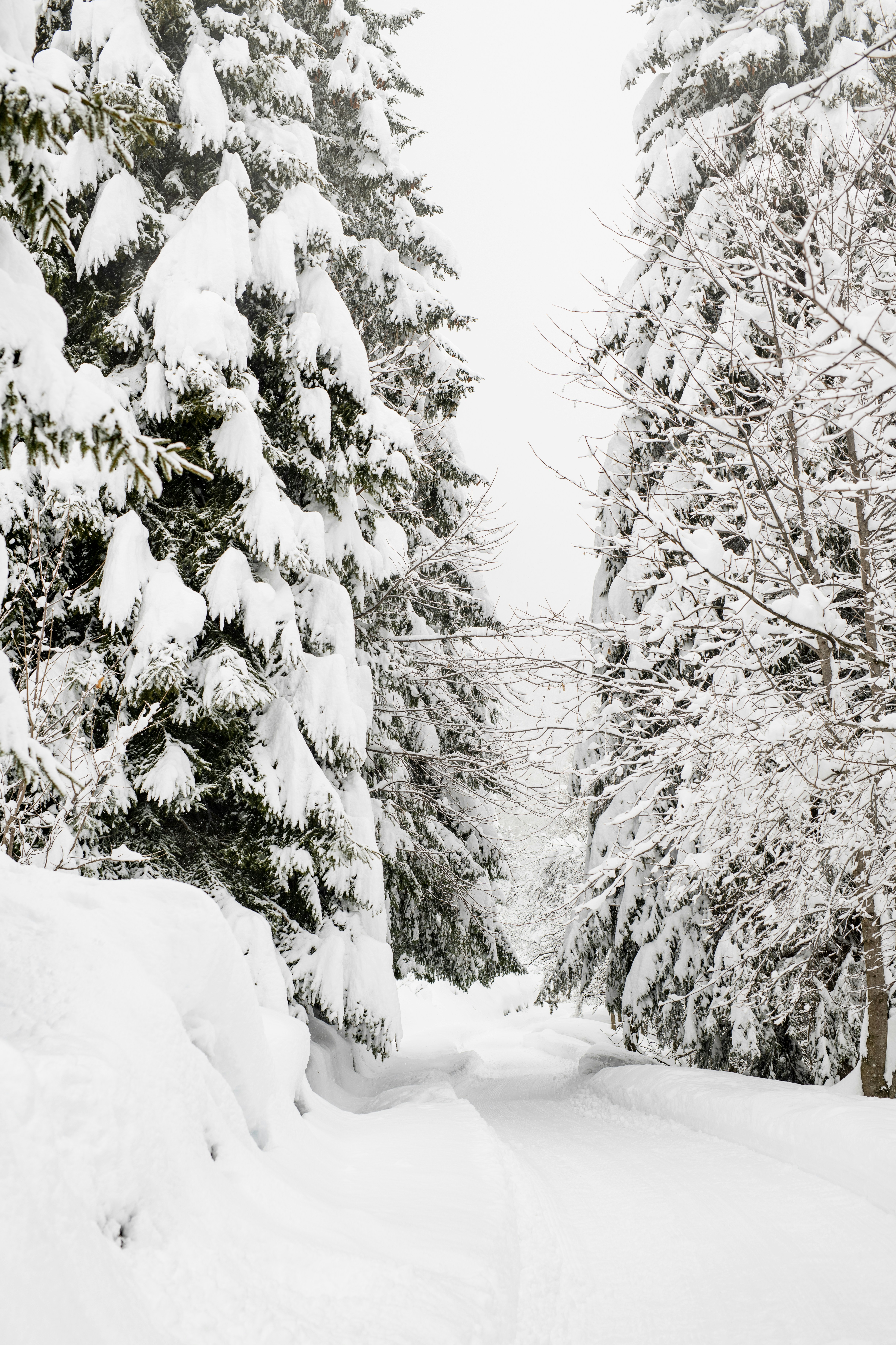 Photo by lauraadaiphoto