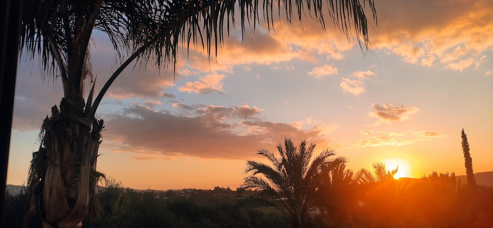 the sun is setting behind a palm tree