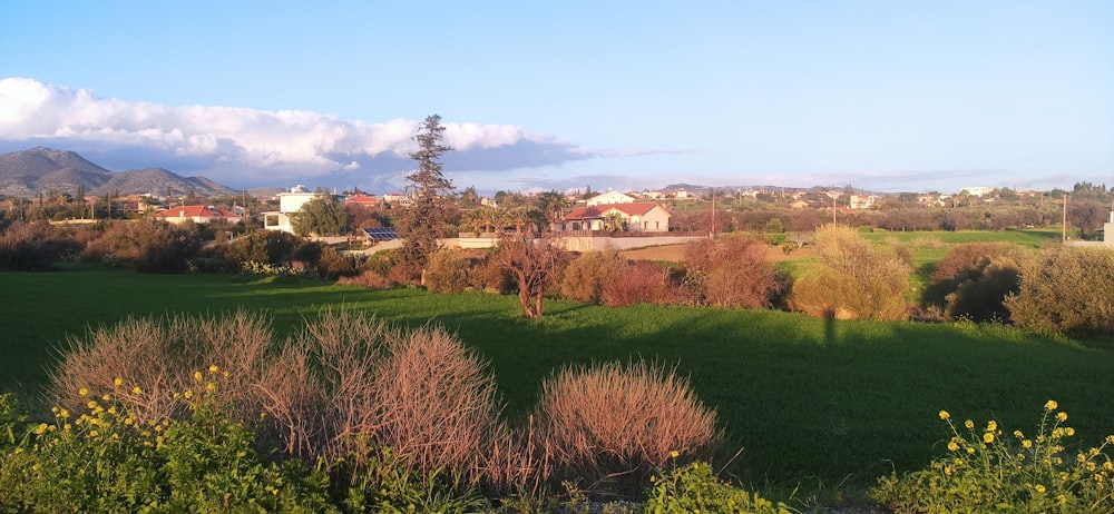 a lush green field with houses in the distance