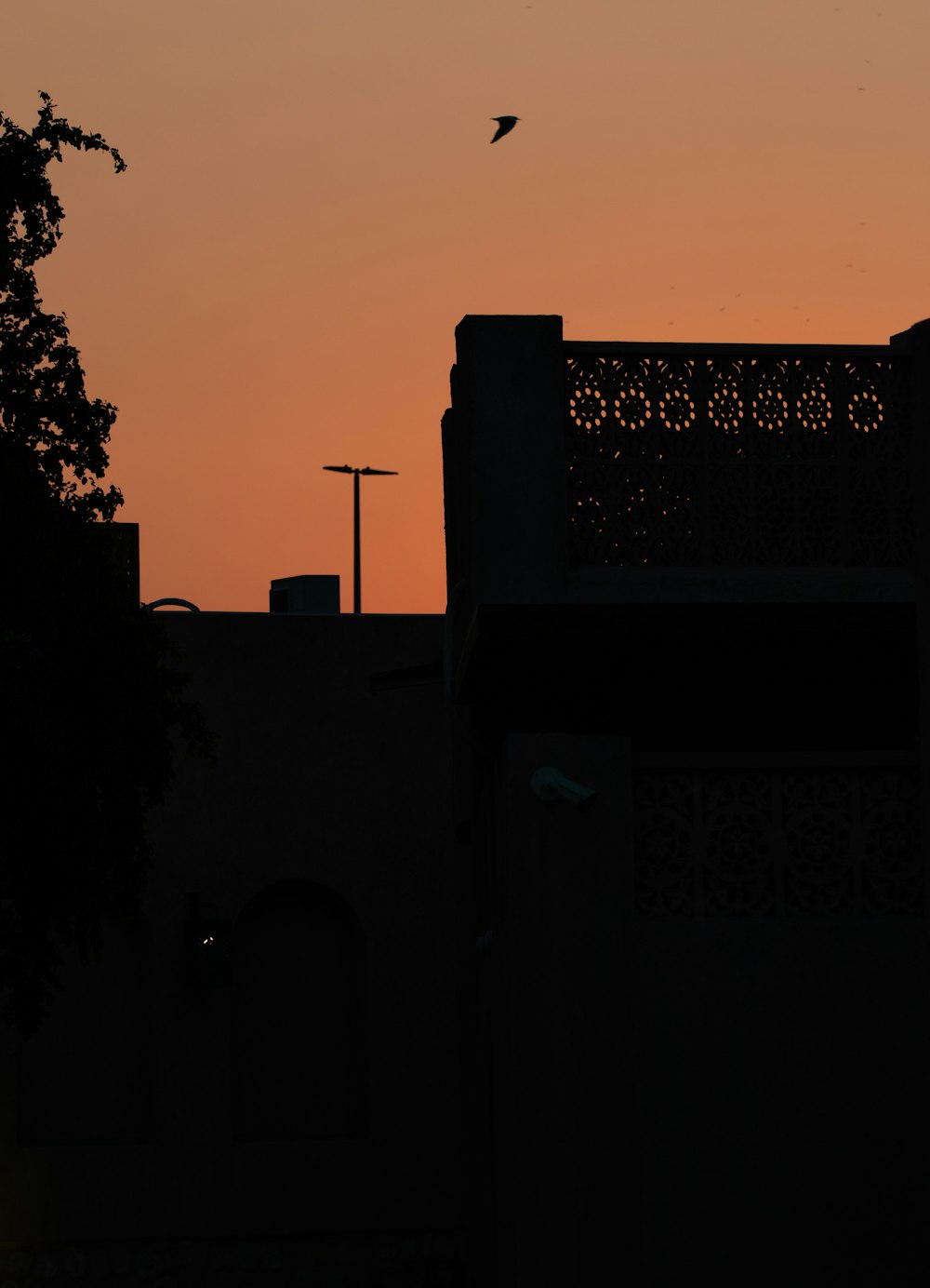 a bird flying in the sky at sunset