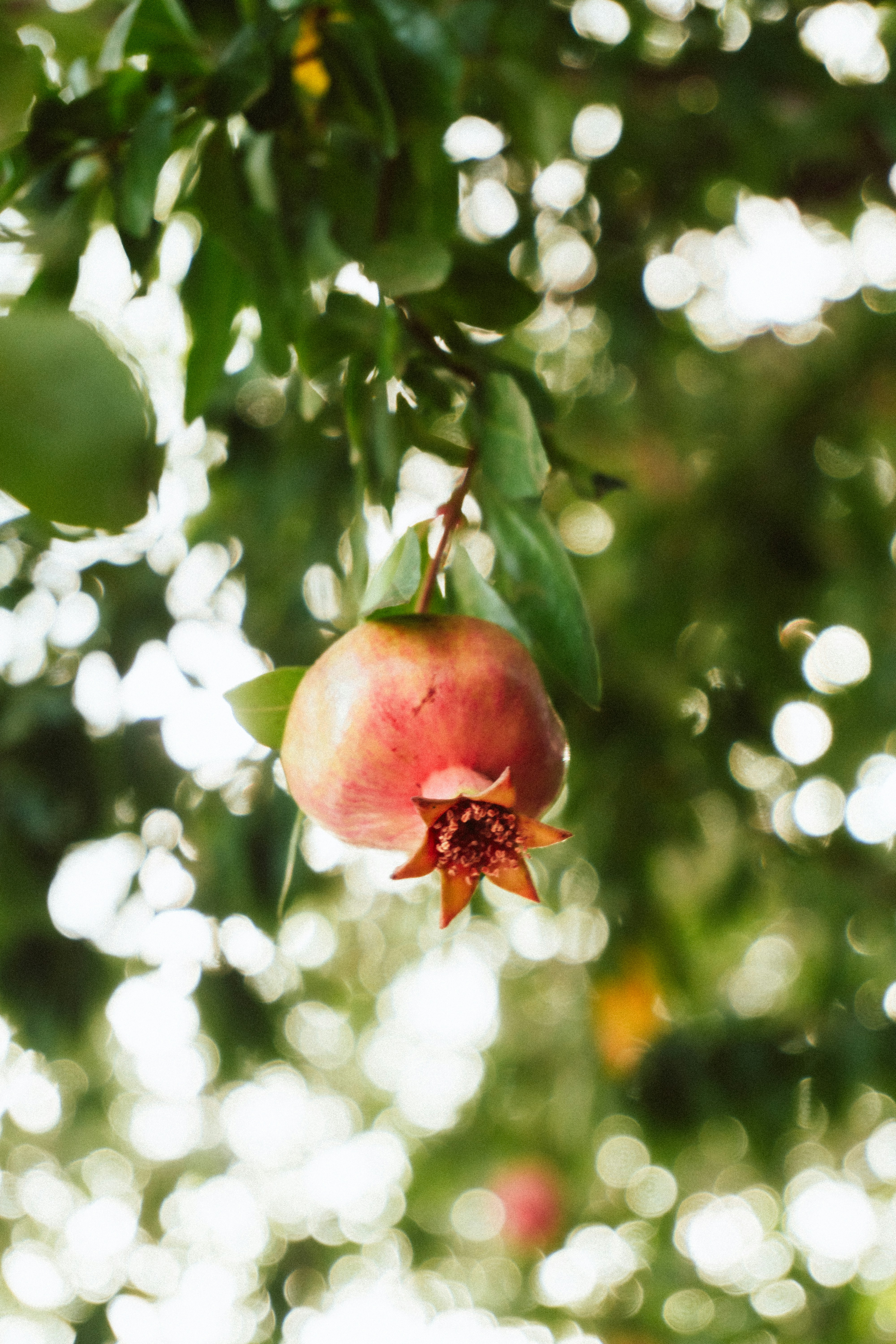 Photo by jurgendekker