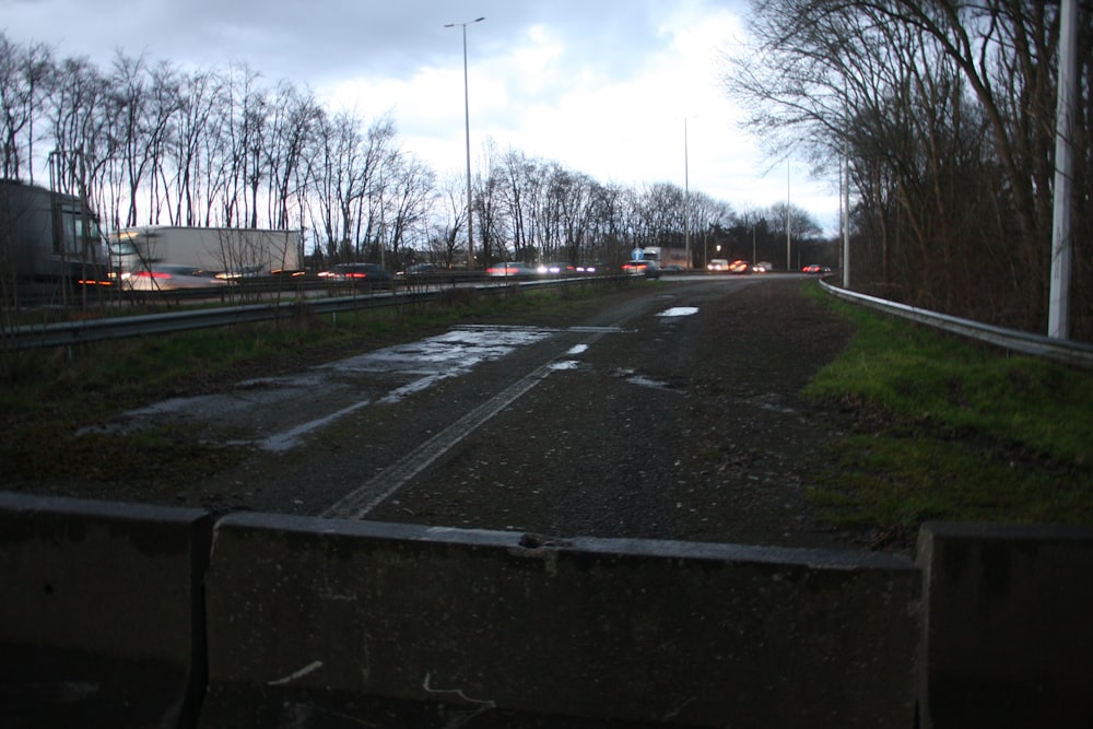 a wet road with a bunch of trees in the background