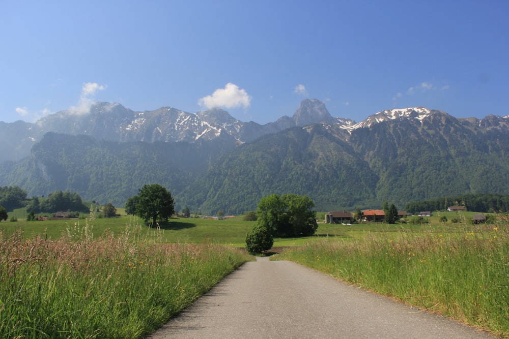 a dirt road in the middle of a field with mountains in the background