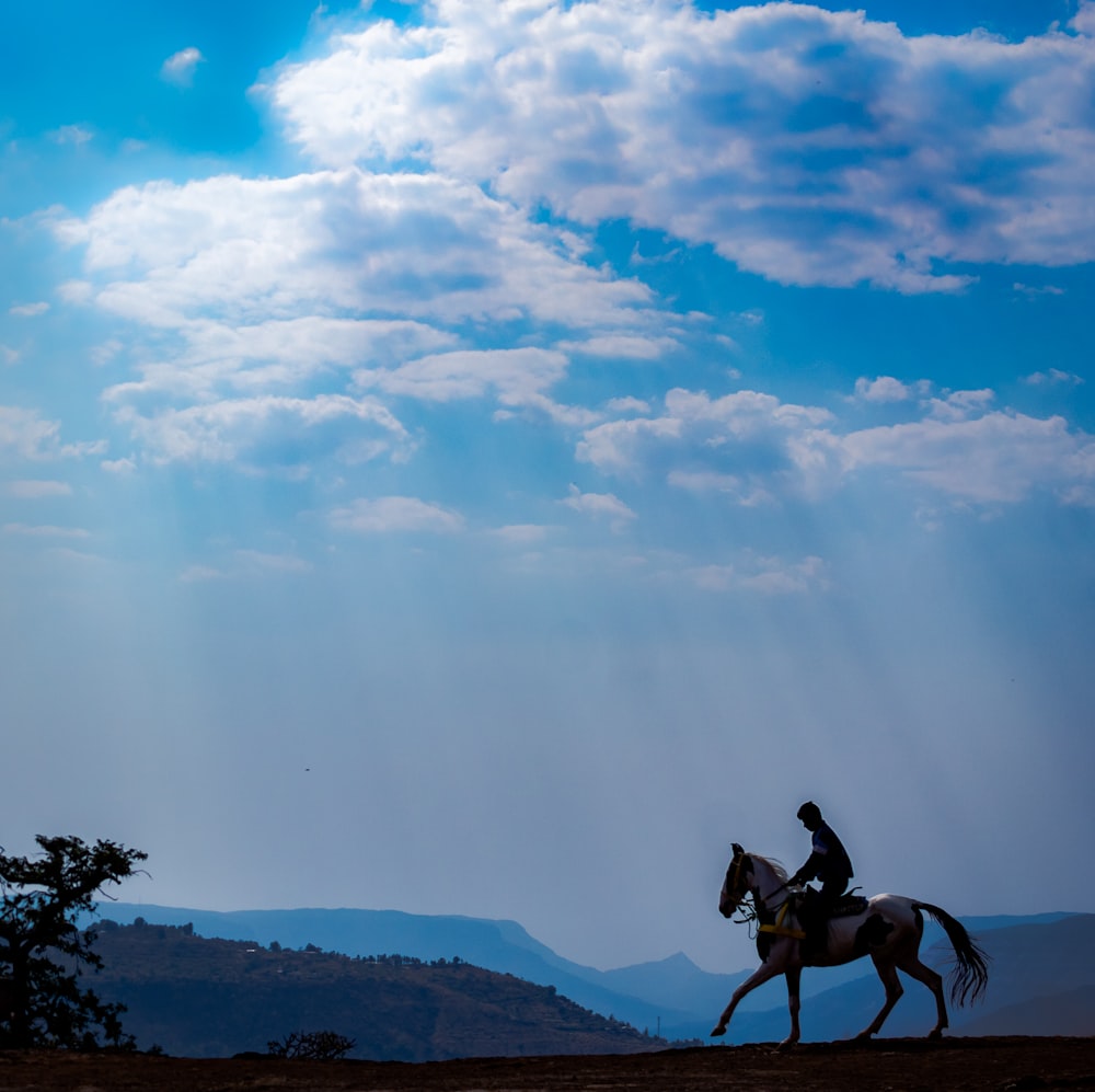 a person riding a horse on a hill