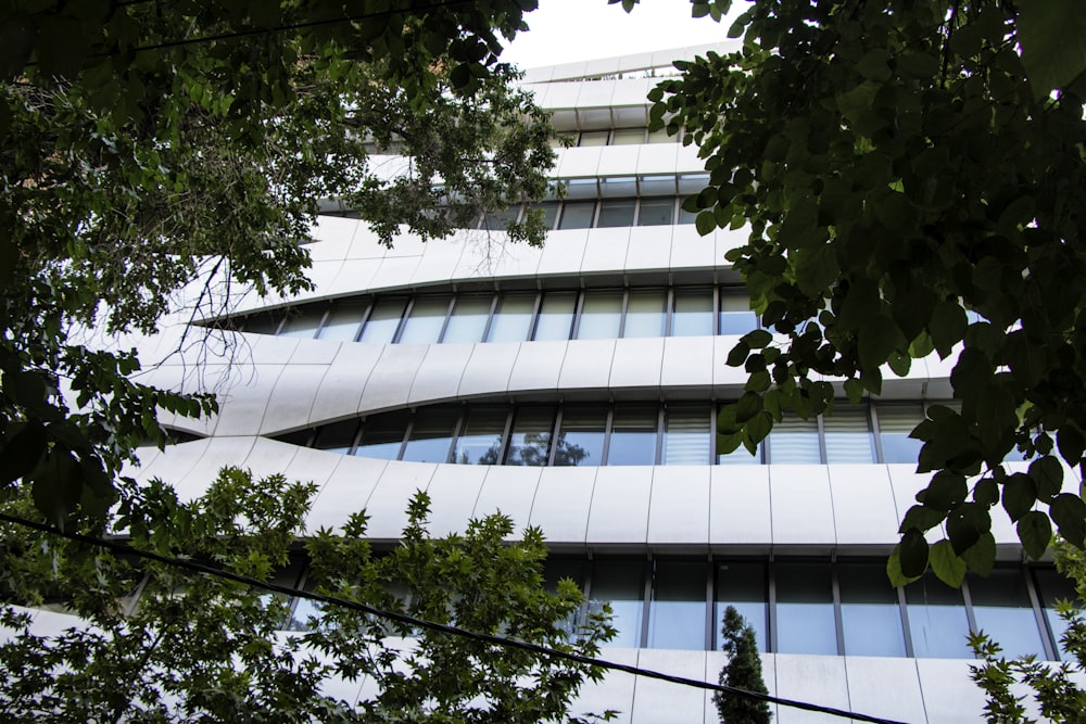 a tall building with a lot of windows next to trees