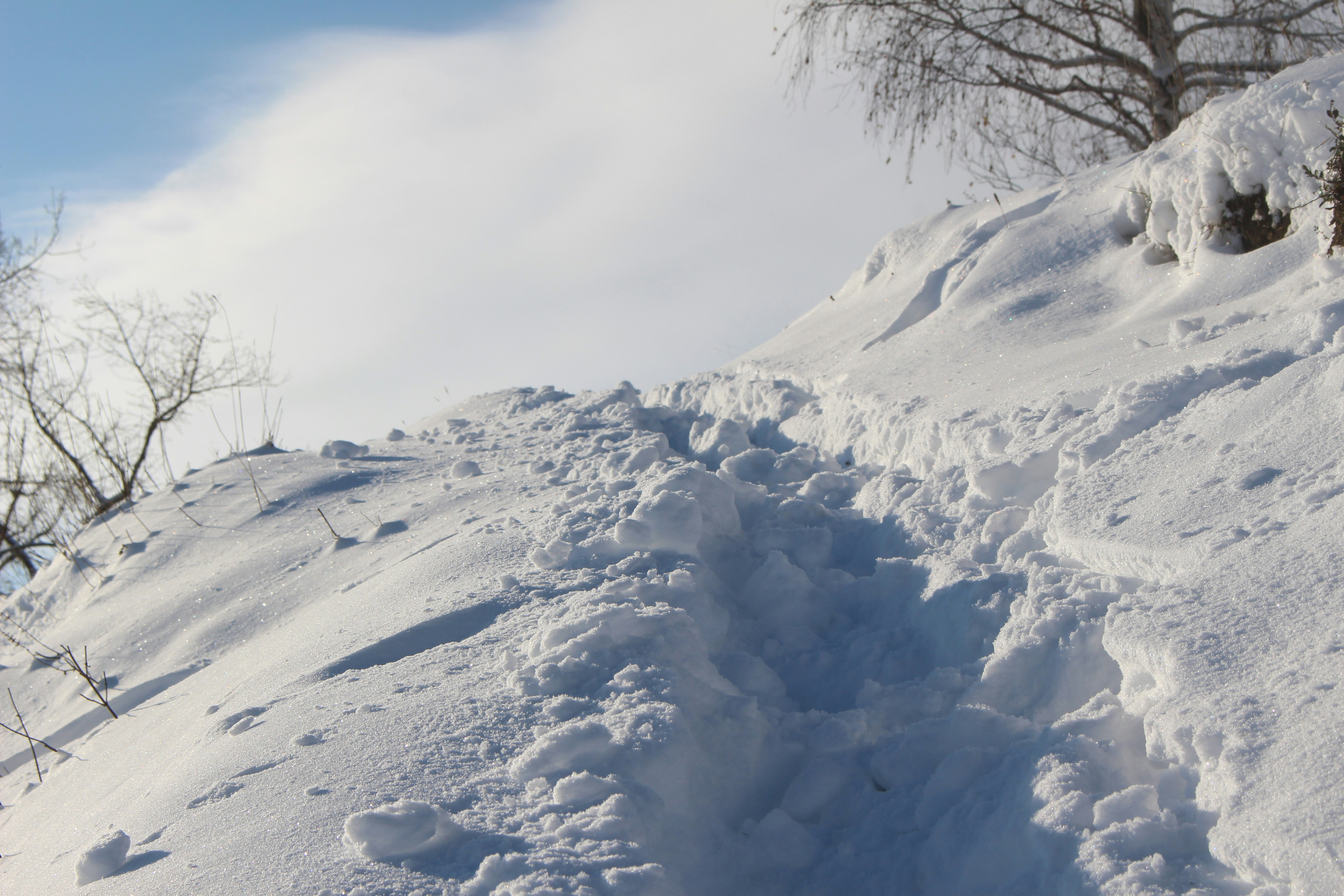 Photo by marjorylucabaxter