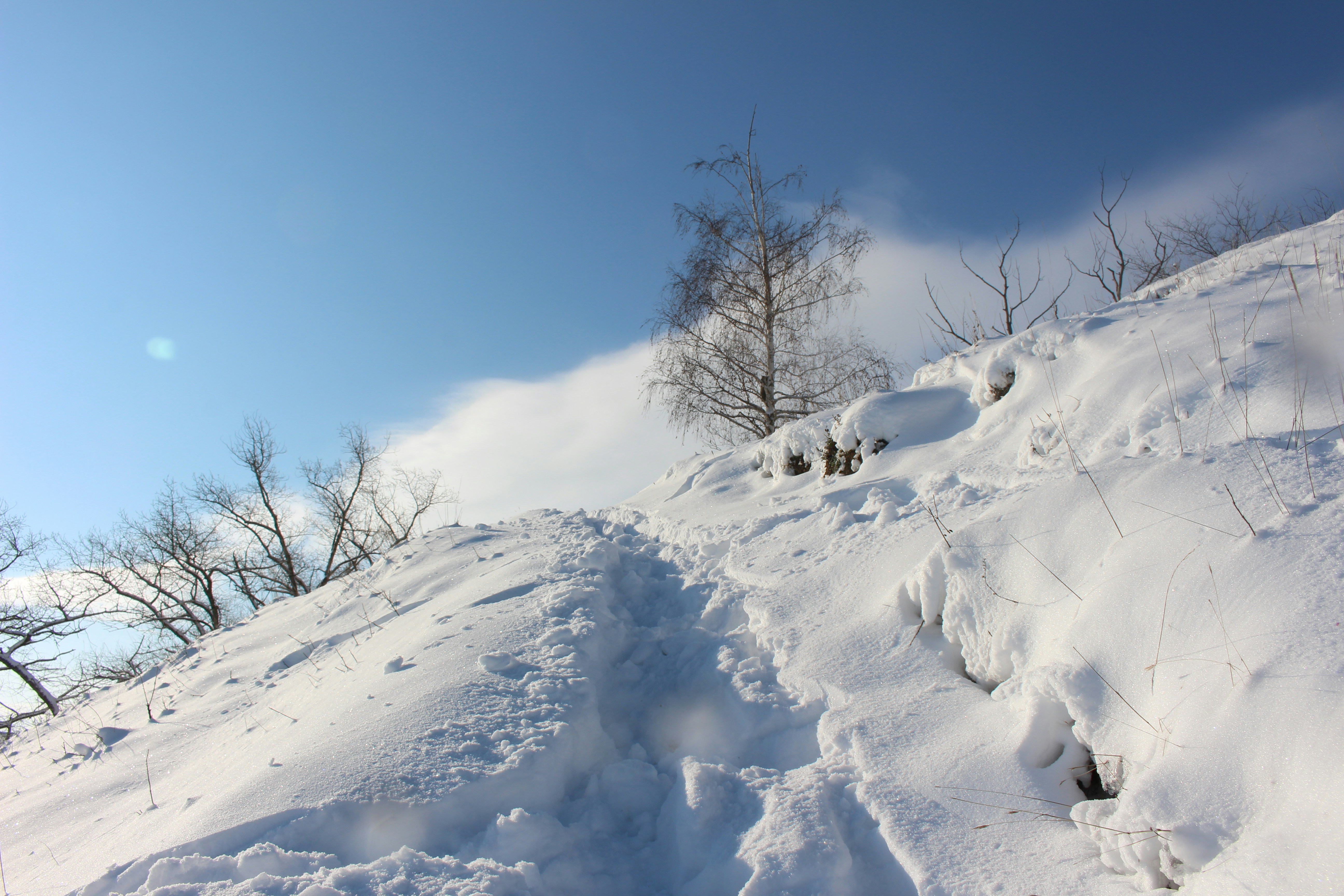 Photo by marjorylucabaxter