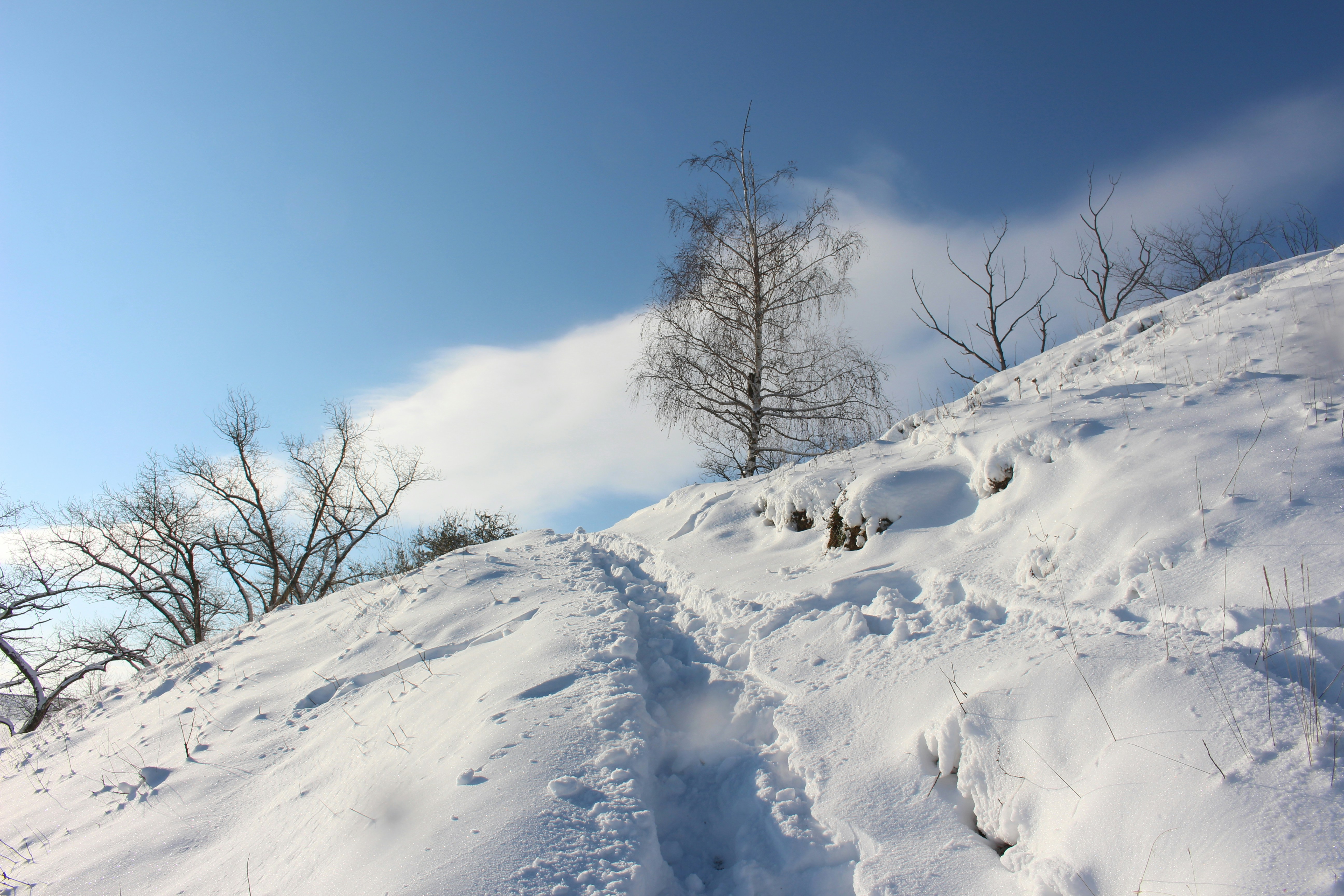 Photo by marjorylucabaxter