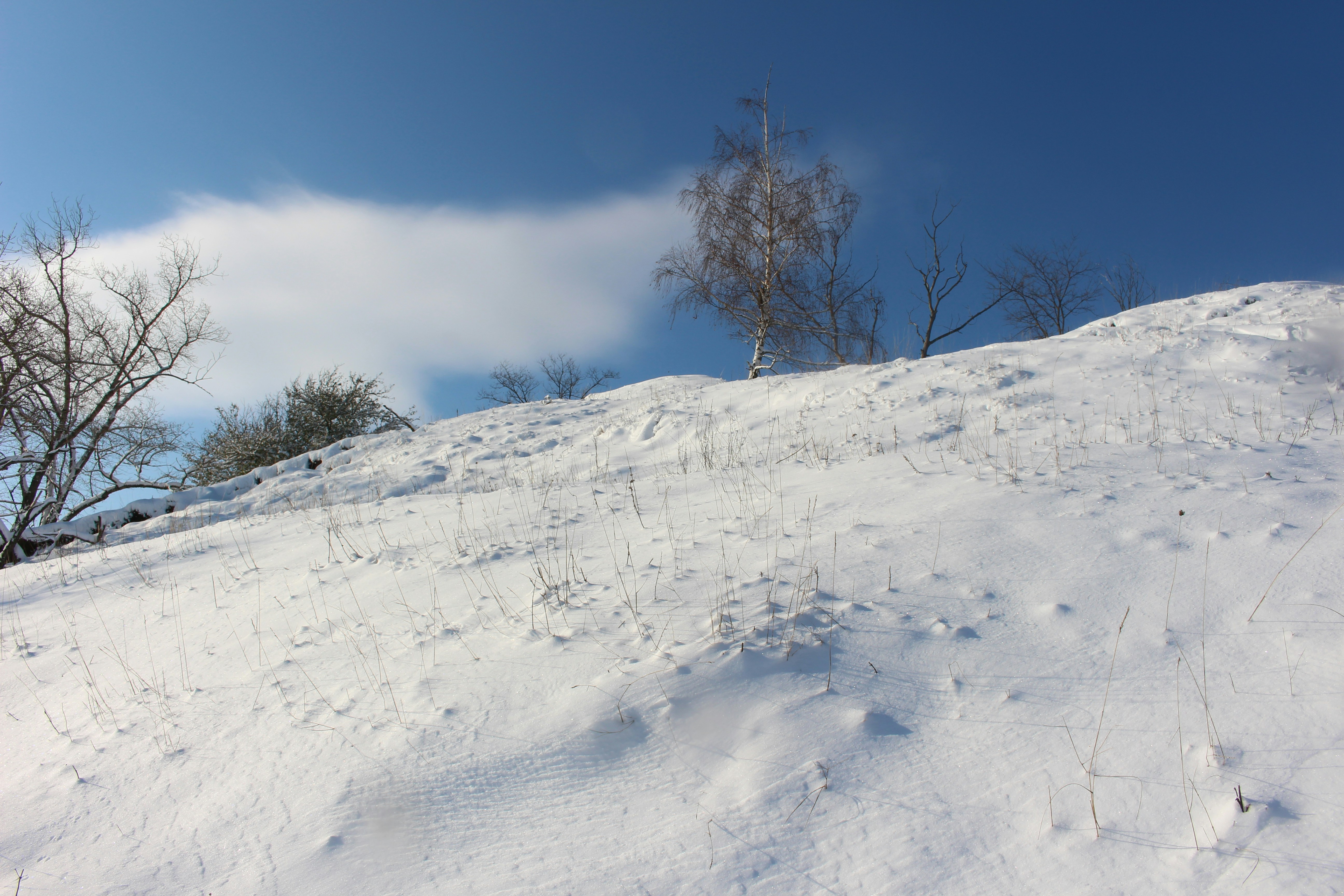 Photo by marjorylucabaxter