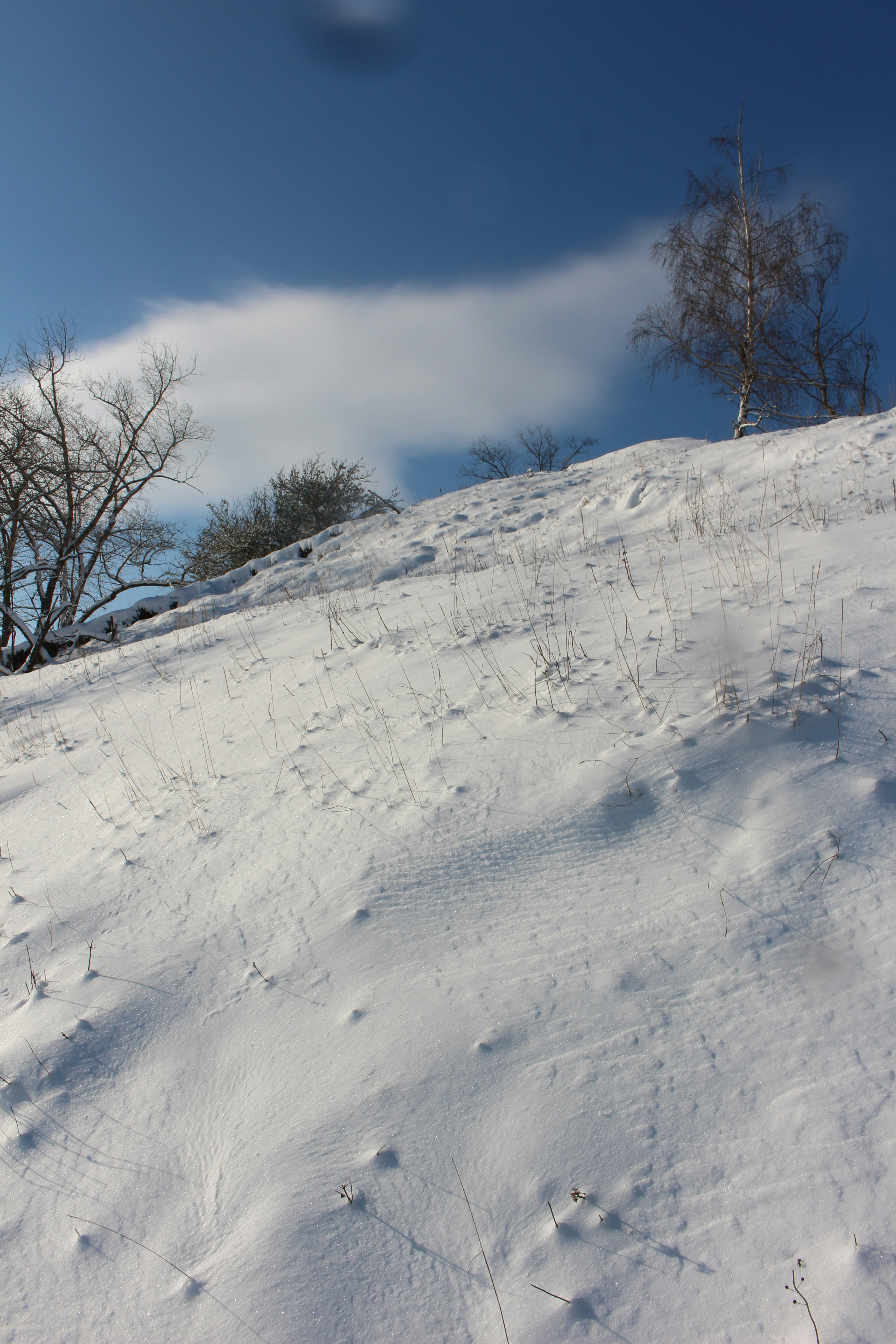 Photo by marjorylucabaxter