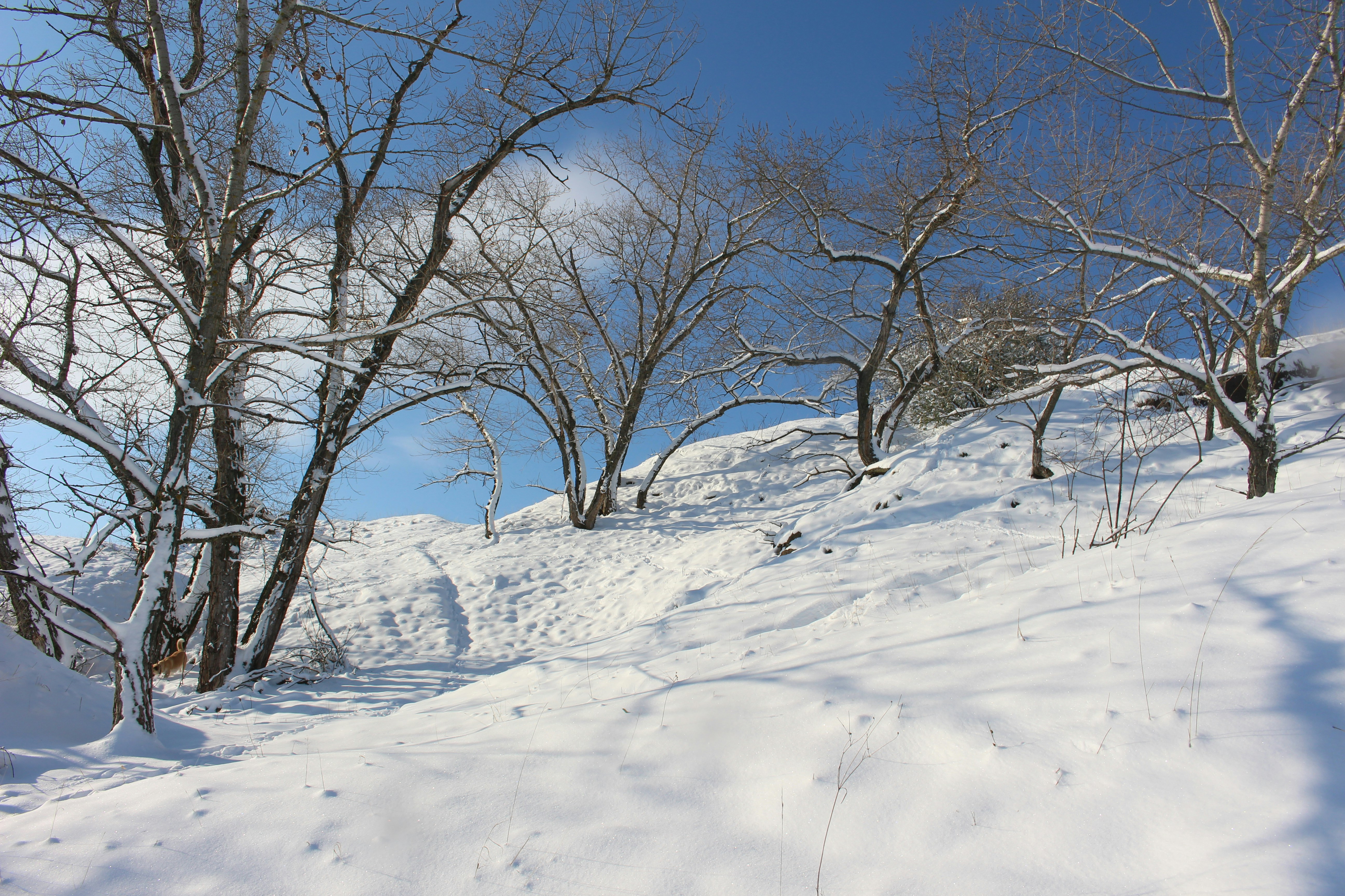 Photo by marjorylucabaxter