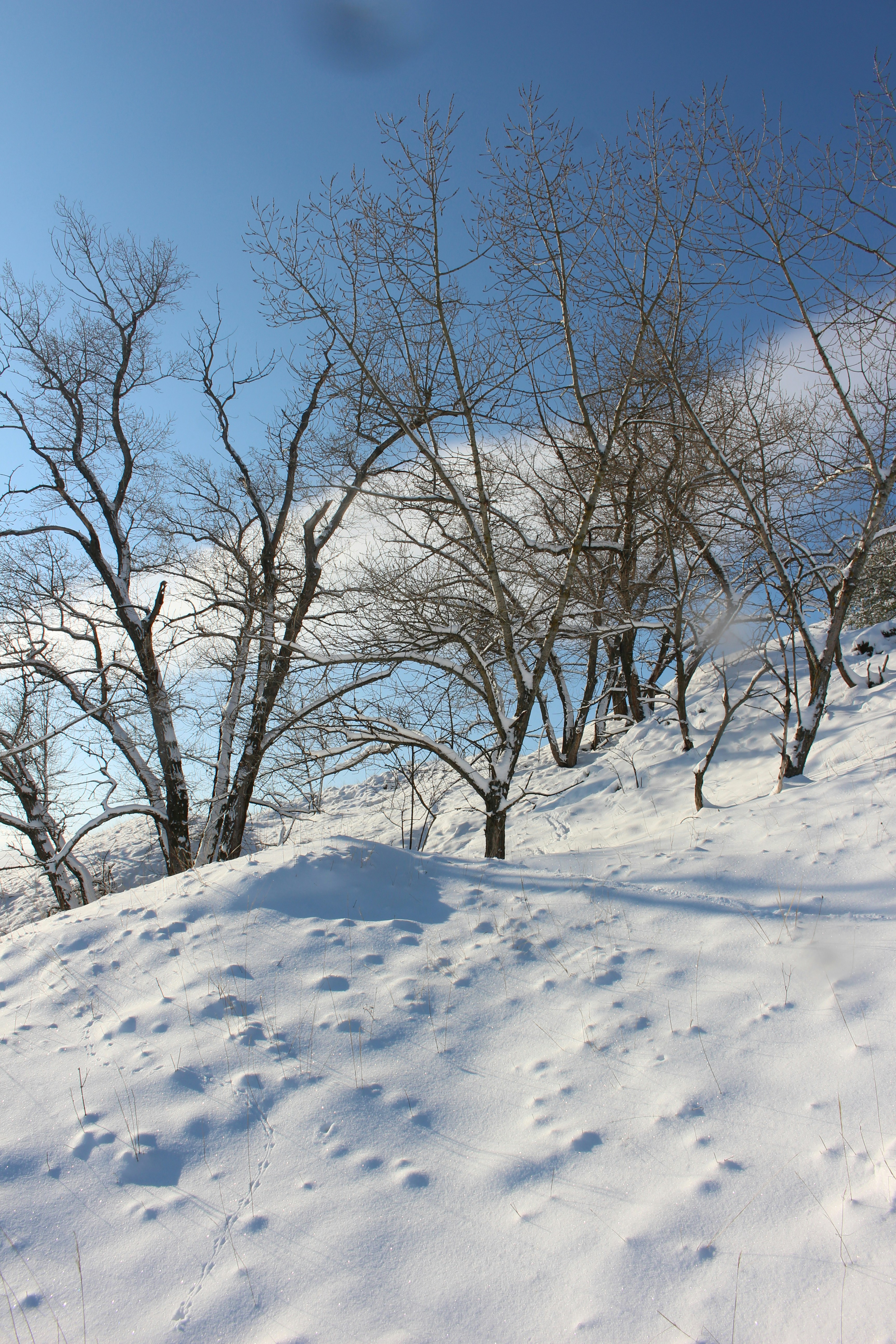 Photo by marjorylucabaxter