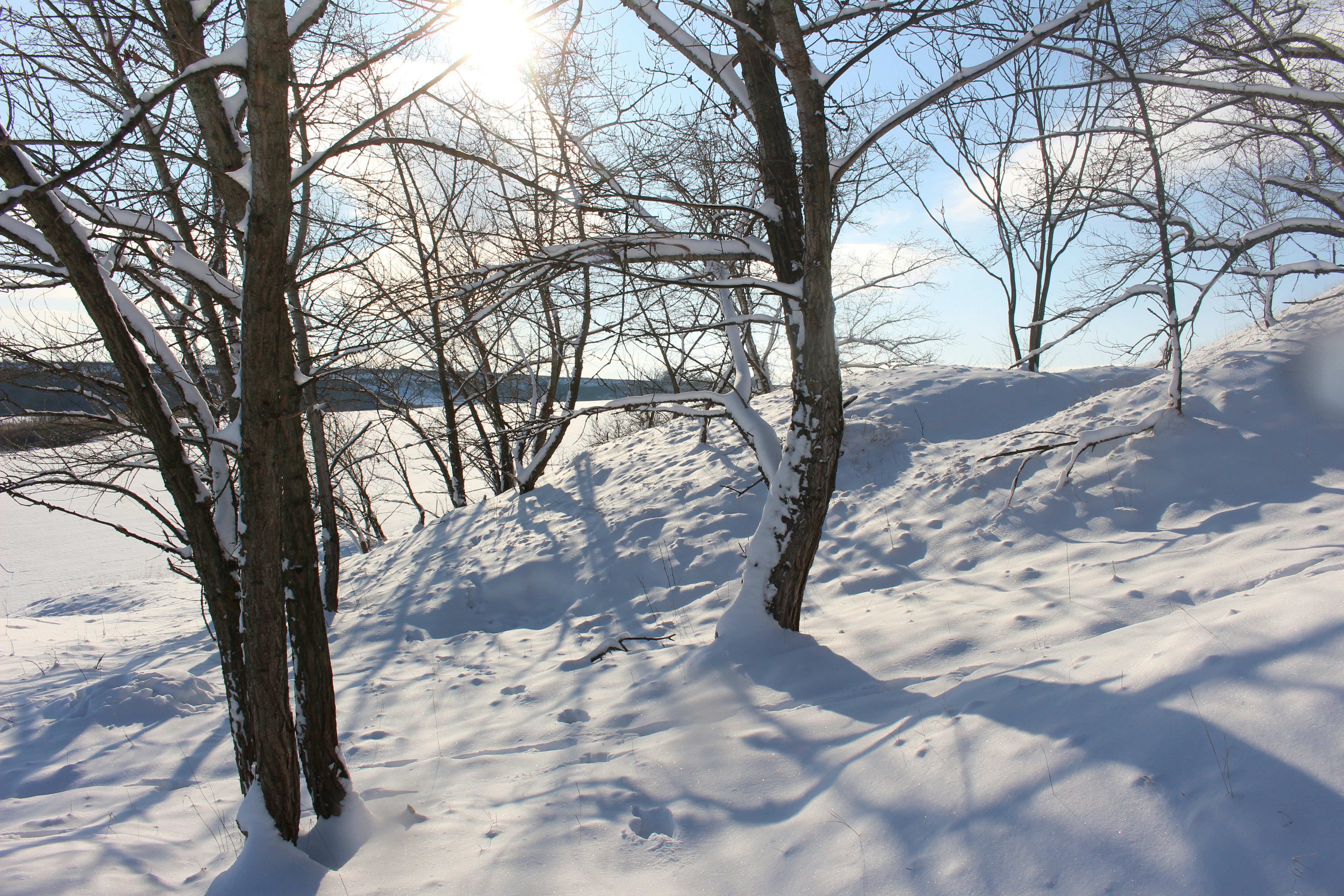 Photo by marjorylucabaxter