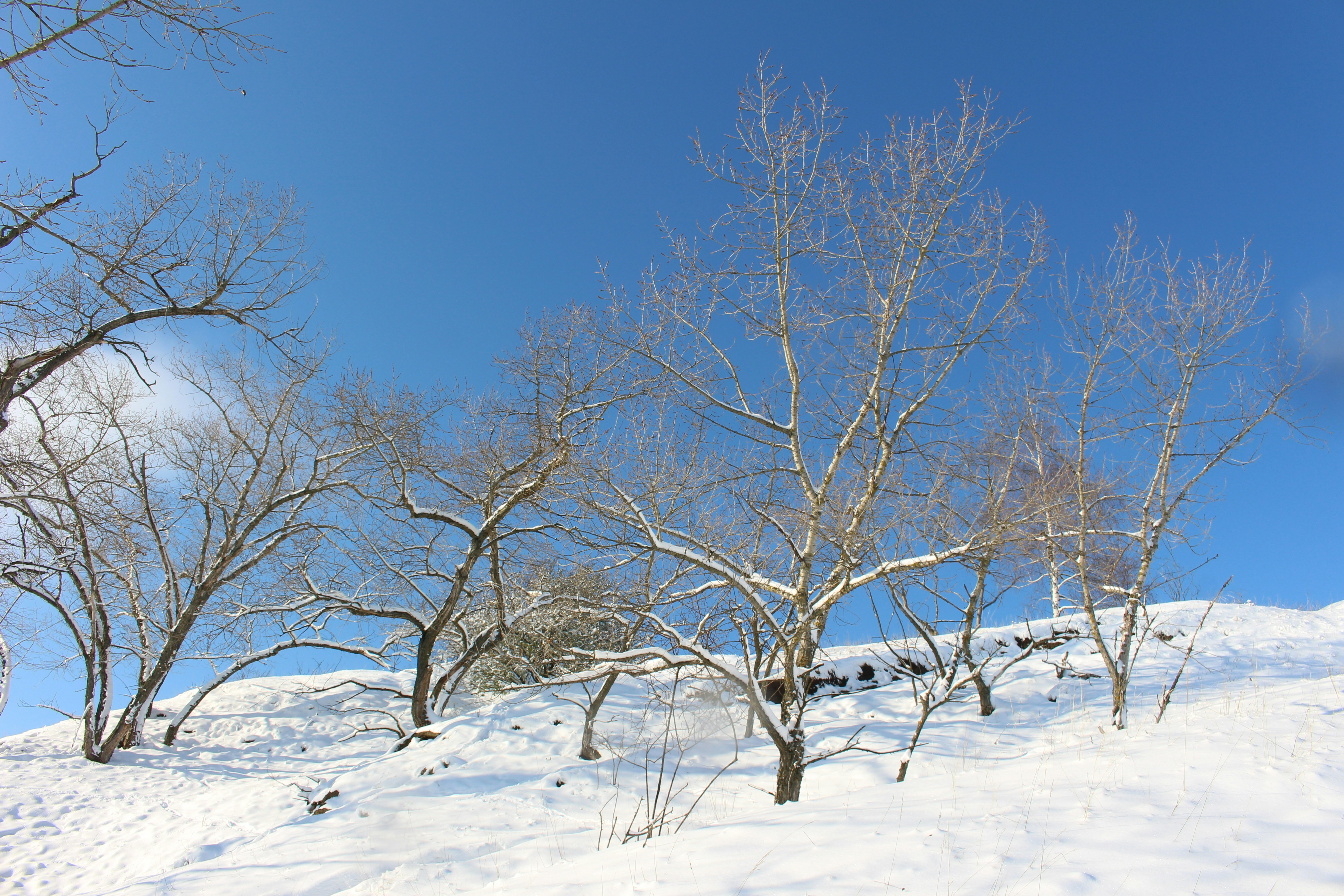 Photo by marjorylucabaxter