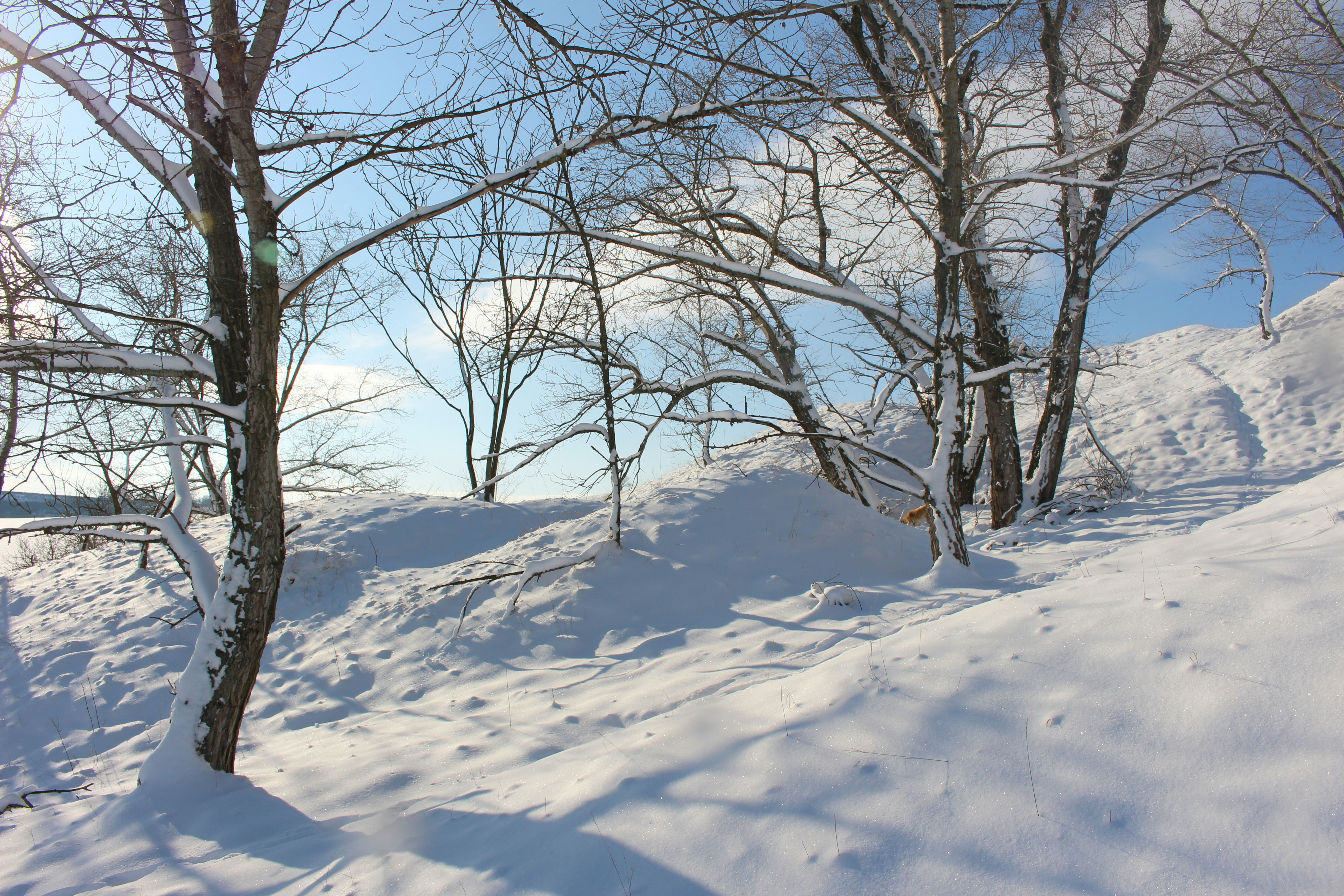 Photo by marjorylucabaxter