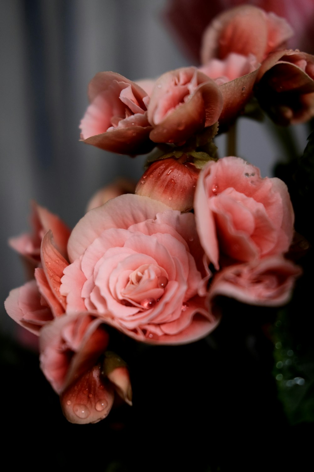 a bunch of pink flowers sitting on top of a table