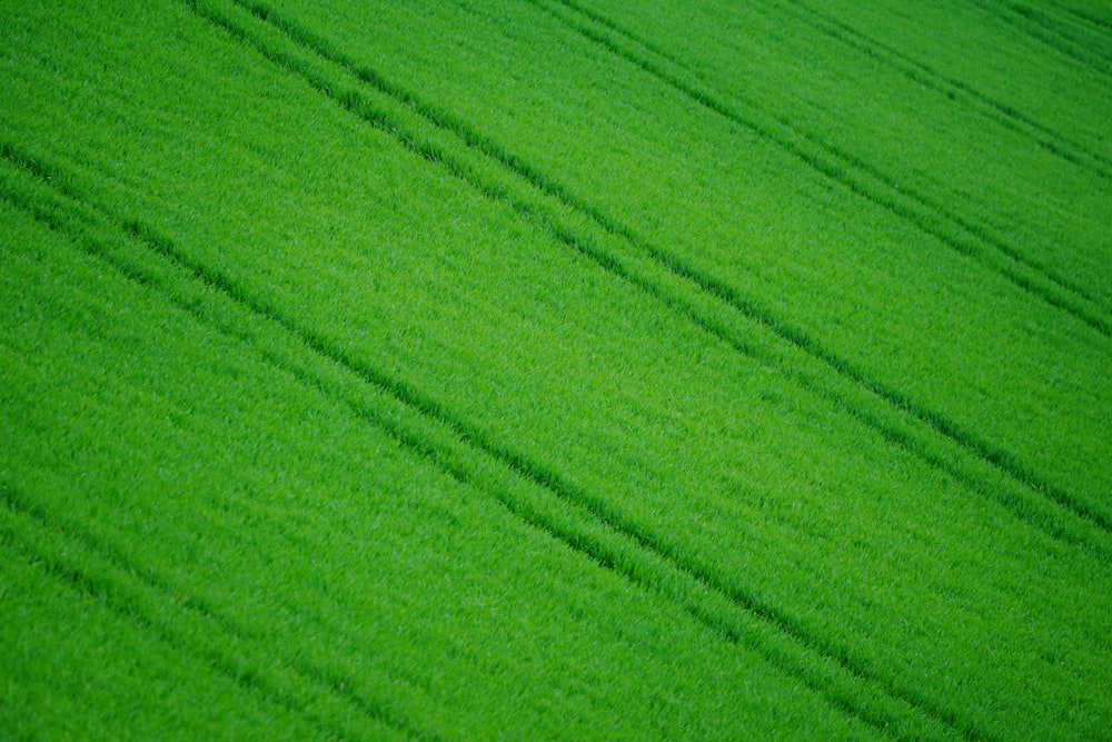 un campo verde con líneas en el medio