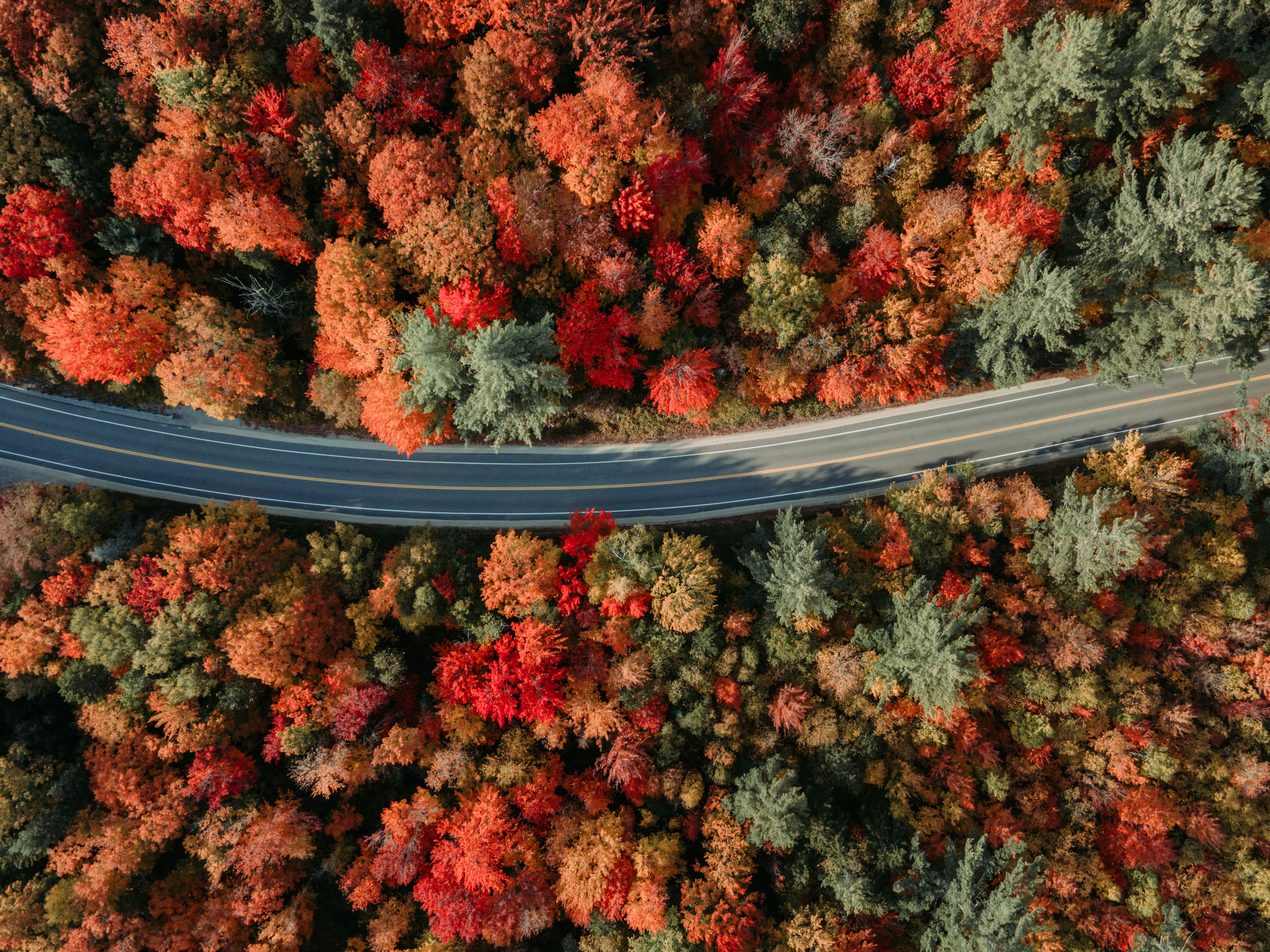 an aerial view of a road surrounded by trees