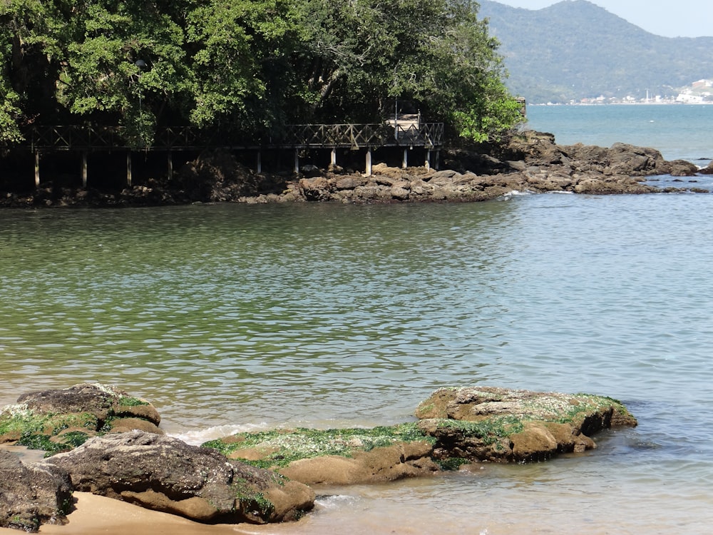 a body of water surrounded by trees and rocks