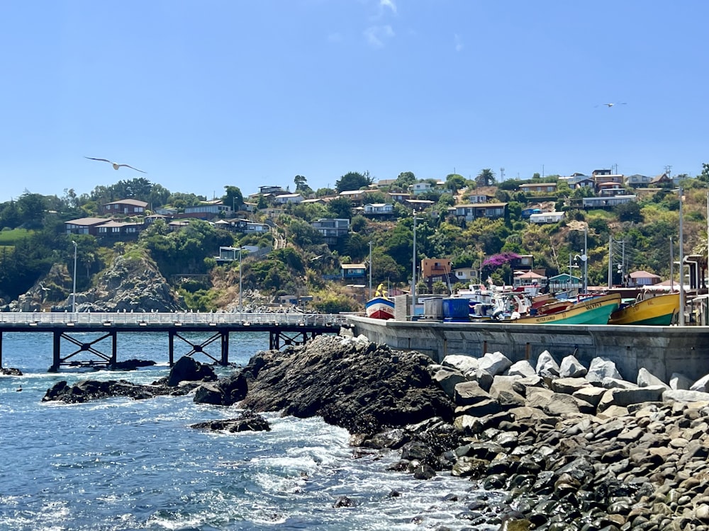 a body of water with a bridge in the background