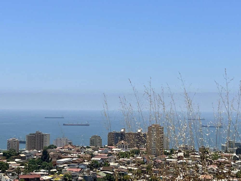 a view of a city with a large body of water in the background