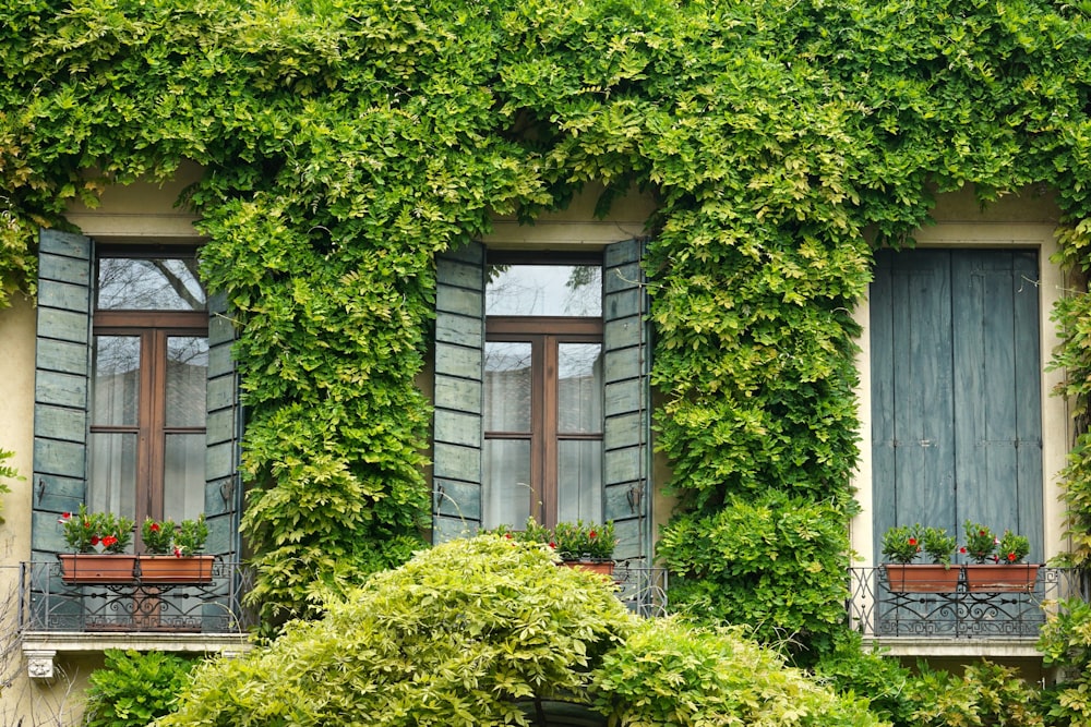 a building covered in green plants and windows