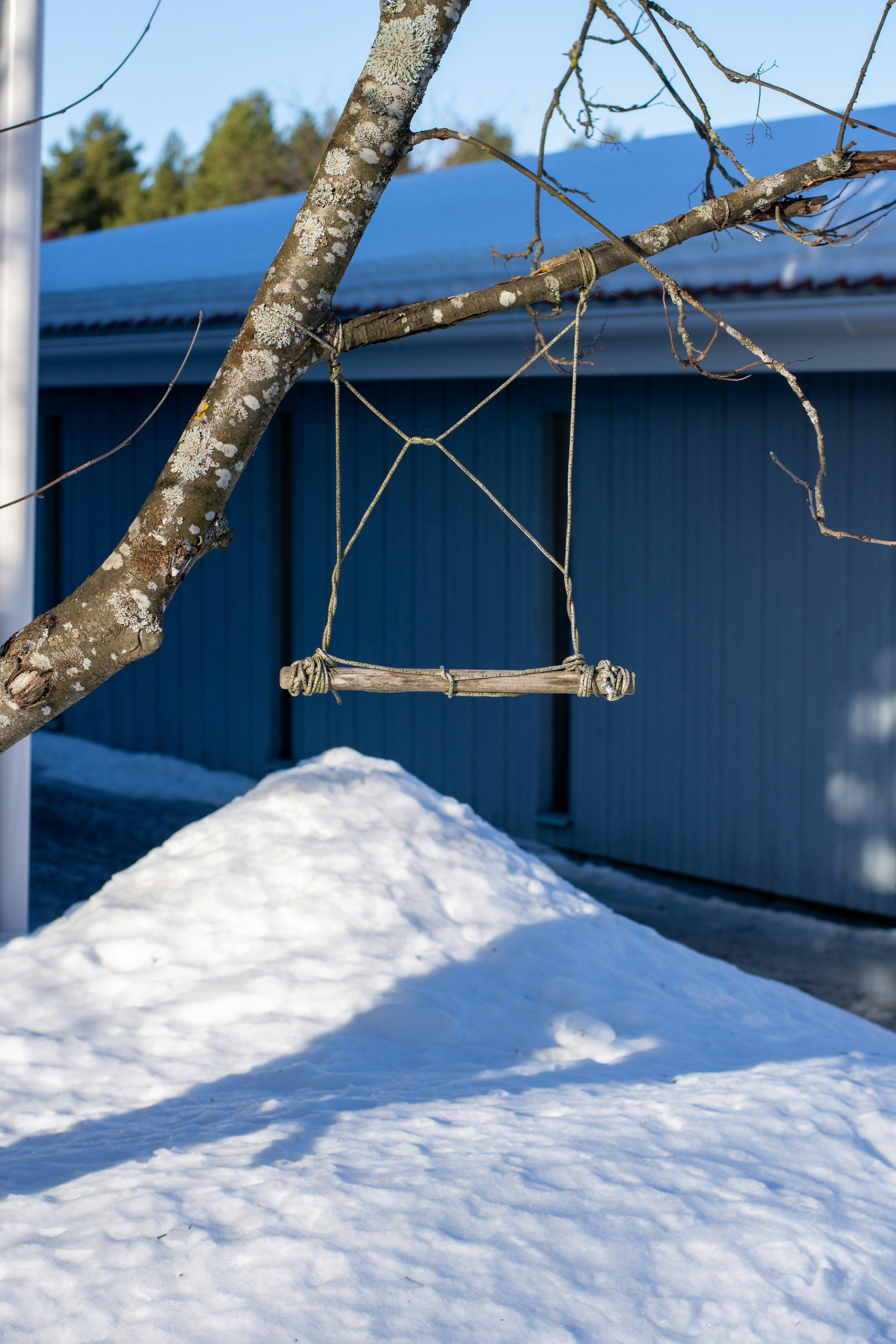 a tree branch with a piece of wood hanging from it