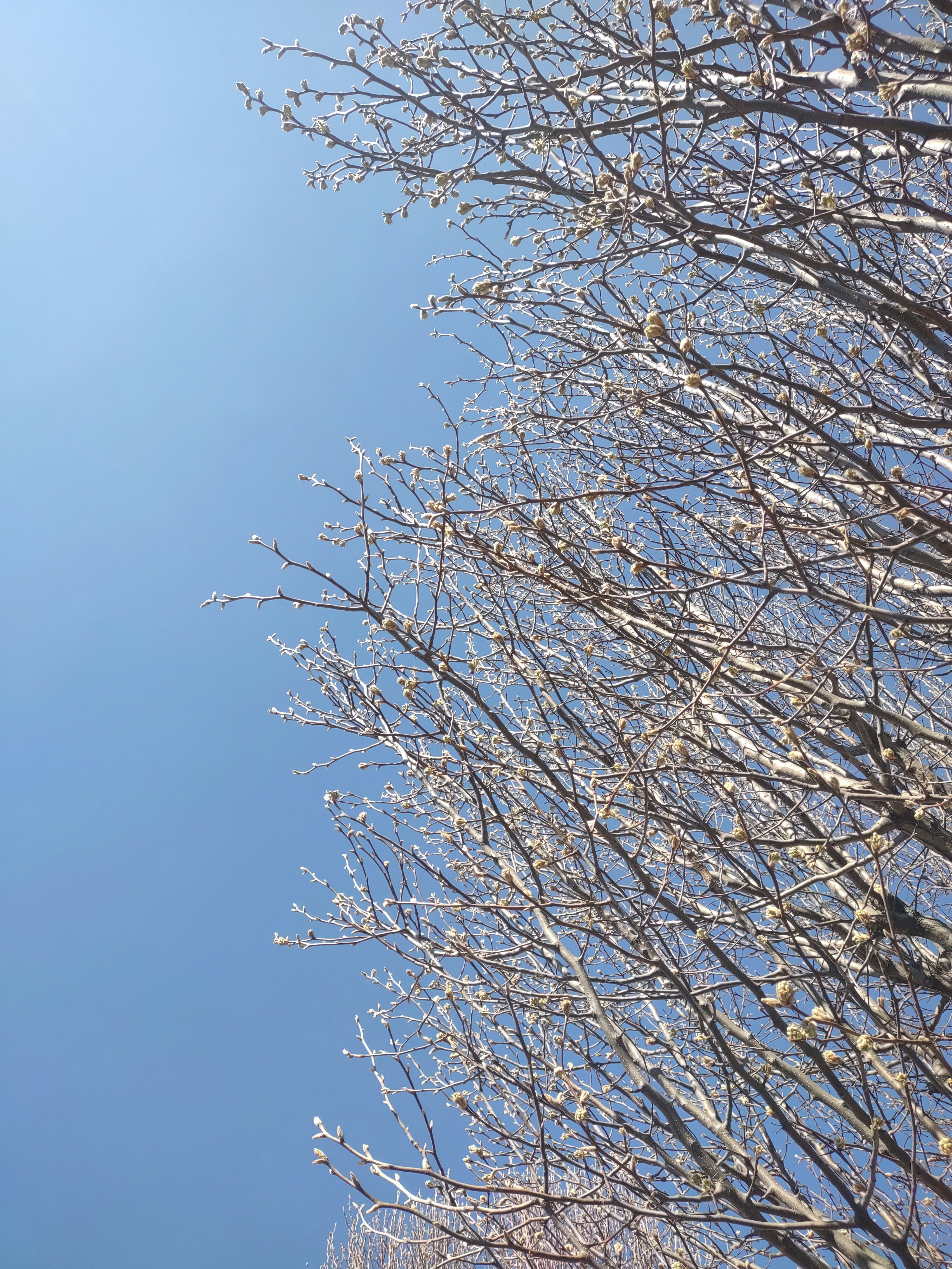 Photo by spellsinink