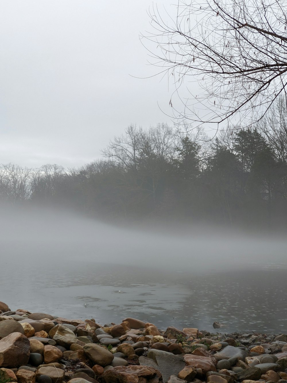 a body of water surrounded by rocks and trees