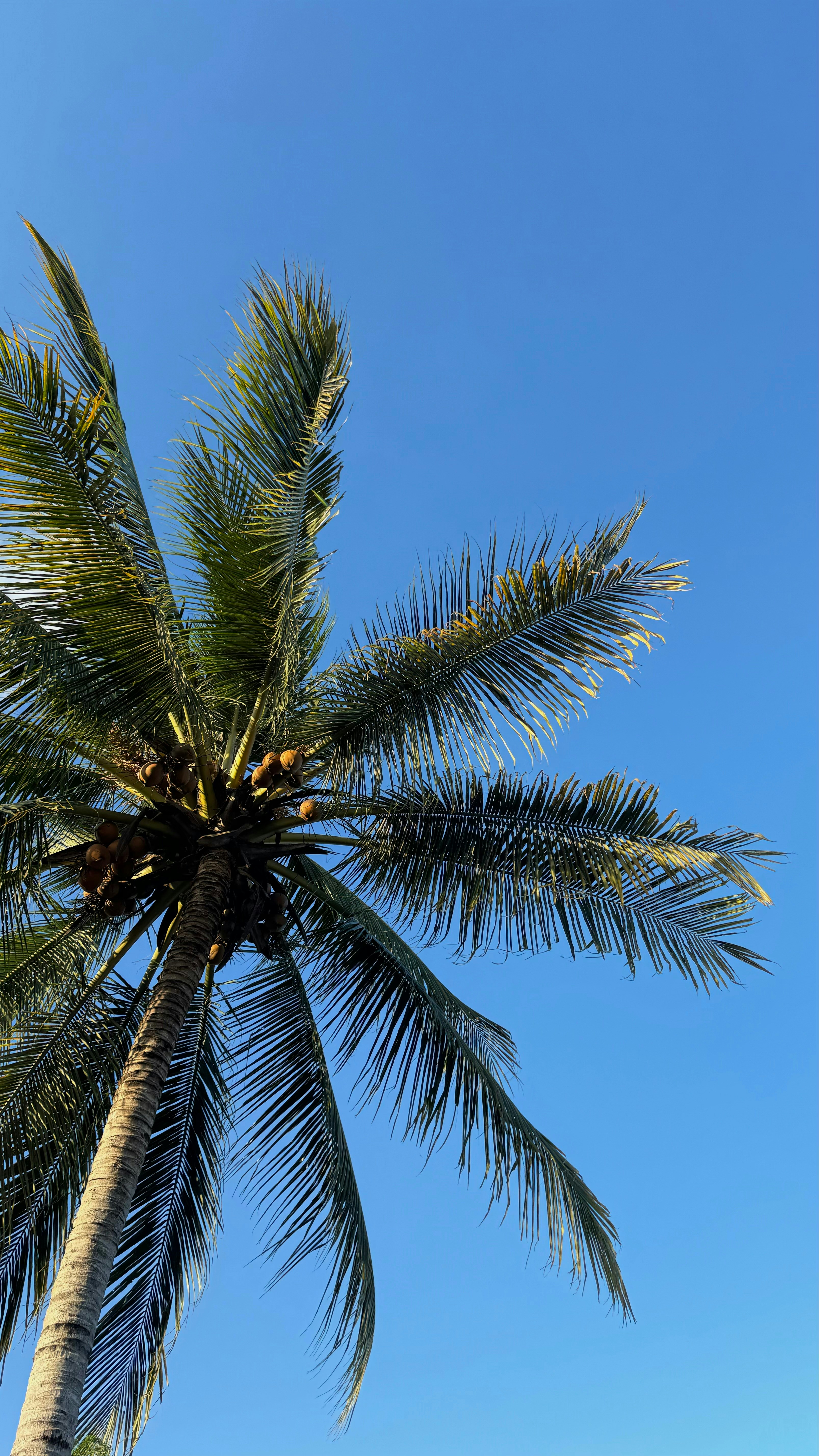 Photo by izzatisyamimi