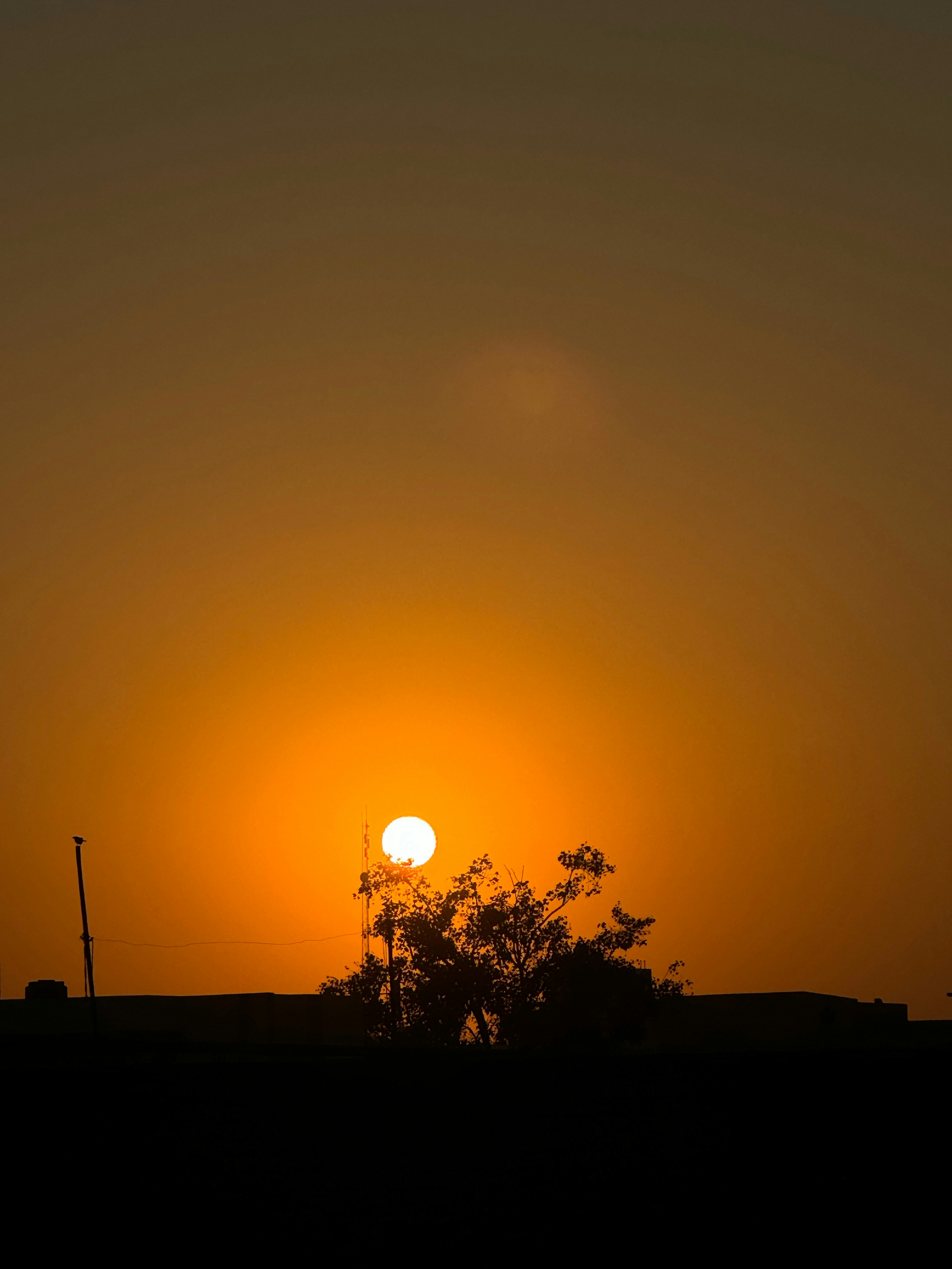 Photo by iamramendra